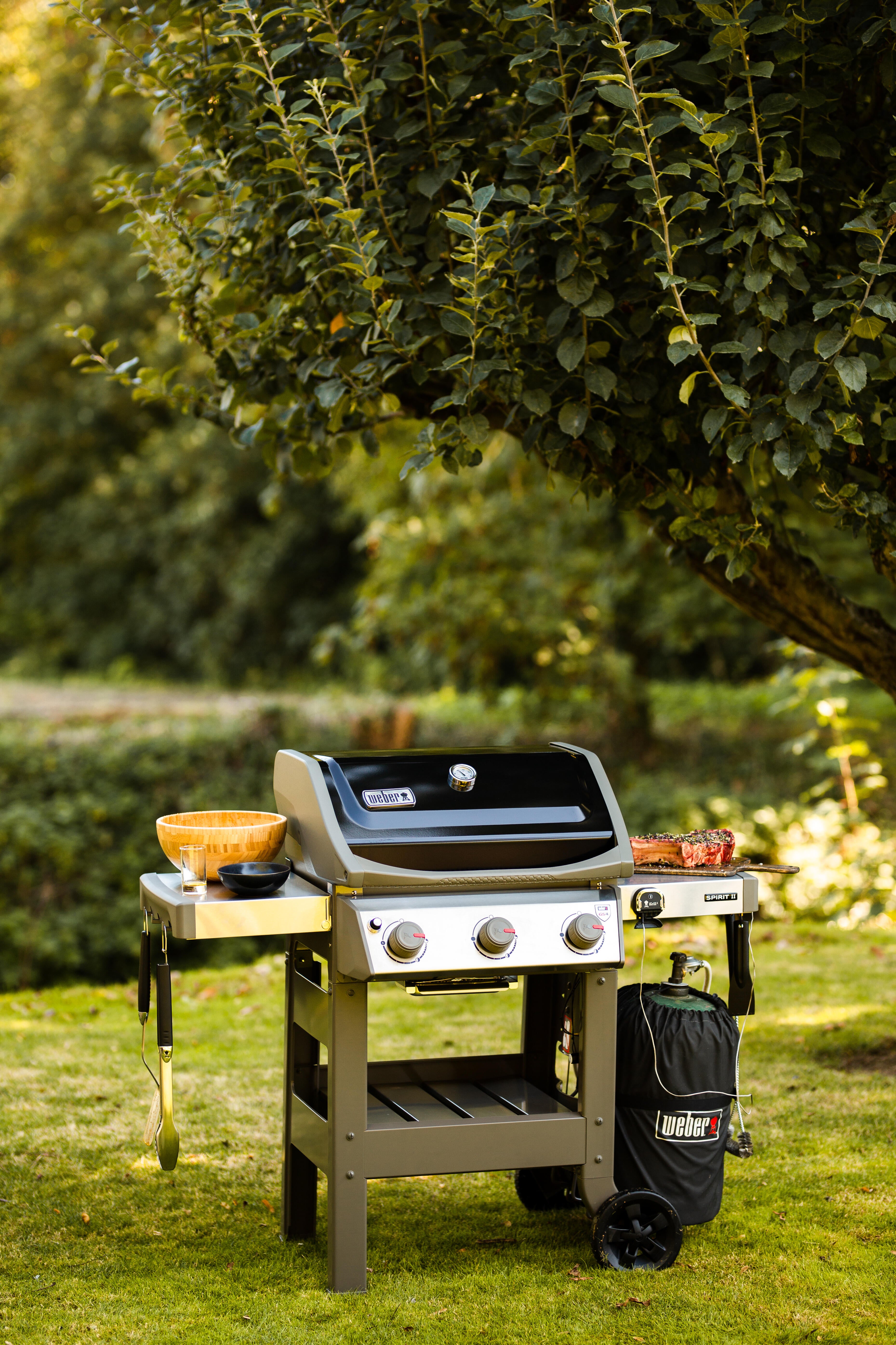 Barbecue a gas WEBER Spirit II E-310 GBS 3 bruciatori - 5
