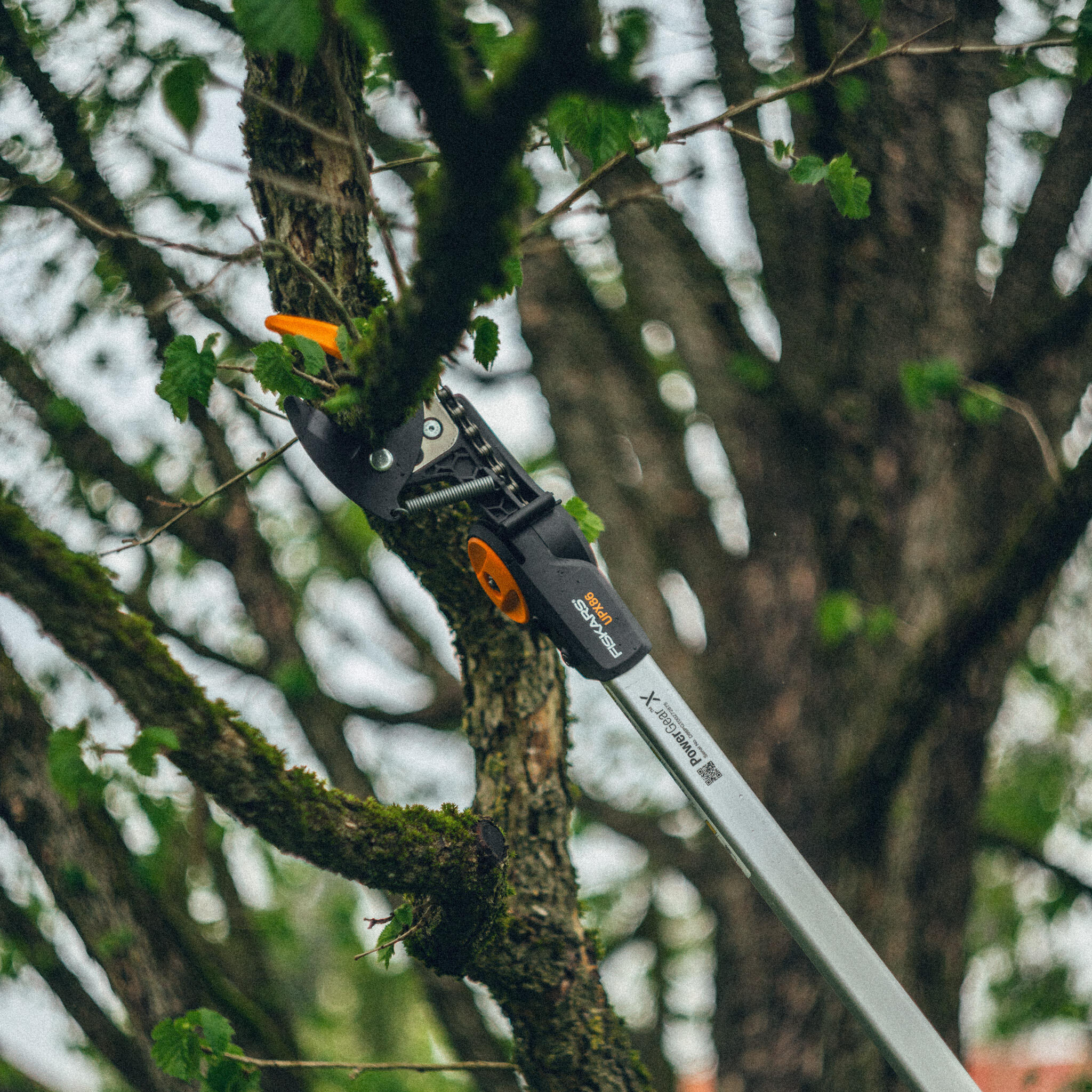 Coupe-Branches Multifonct. Télesc. FISKARS PowerGear™X UPX86 portée 6m Ø32mm - 17