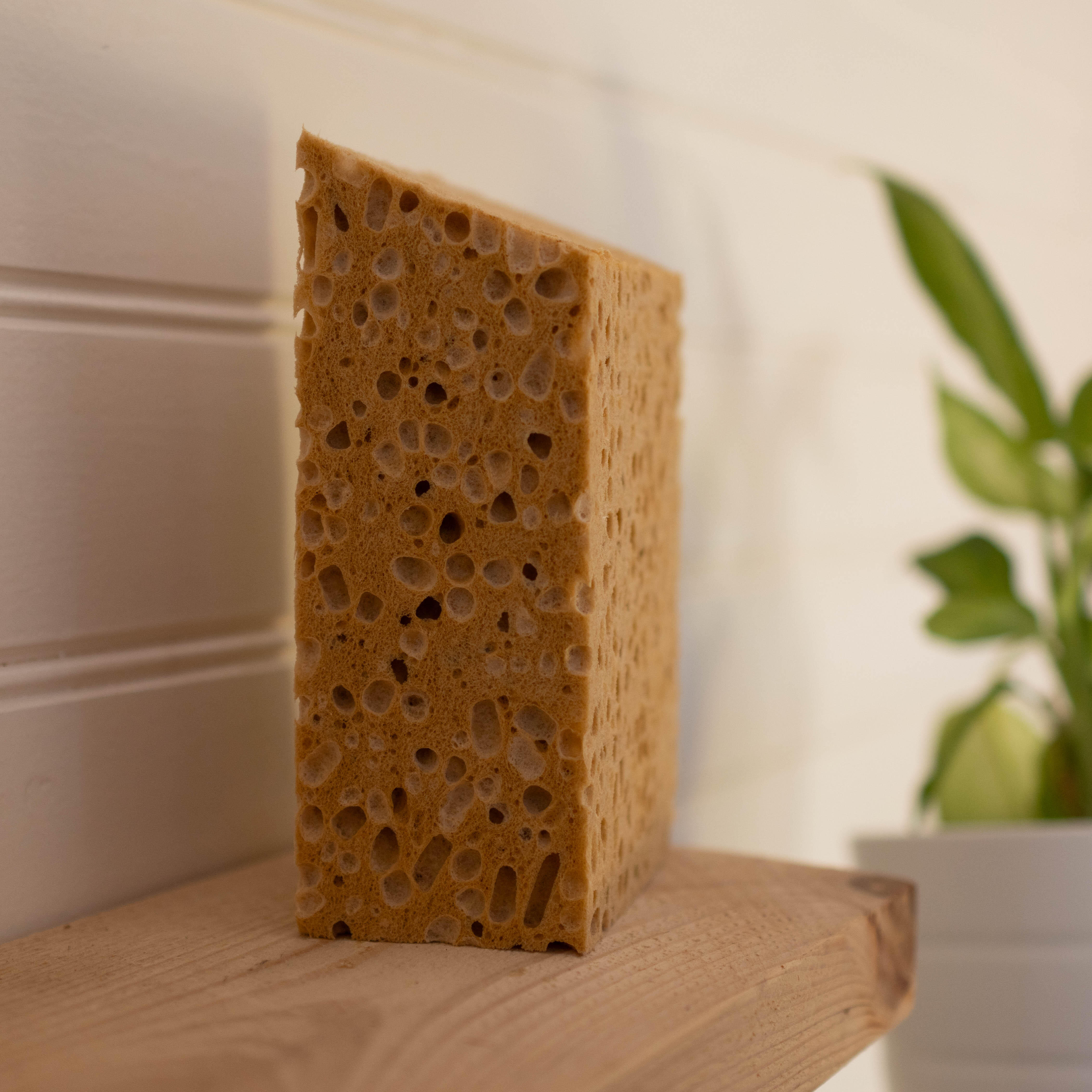 Eponge naturelle Gros travaux biseautée universel, GERLON - 5