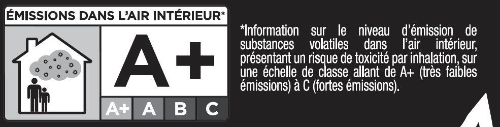 Plâtre de paris poudre Toupret 1kg - 6