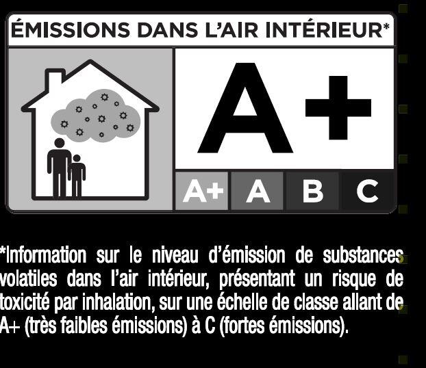 Enduit de rebouchage en poudre Expert'rebouch TOUPRET blanc 1 kg - 6