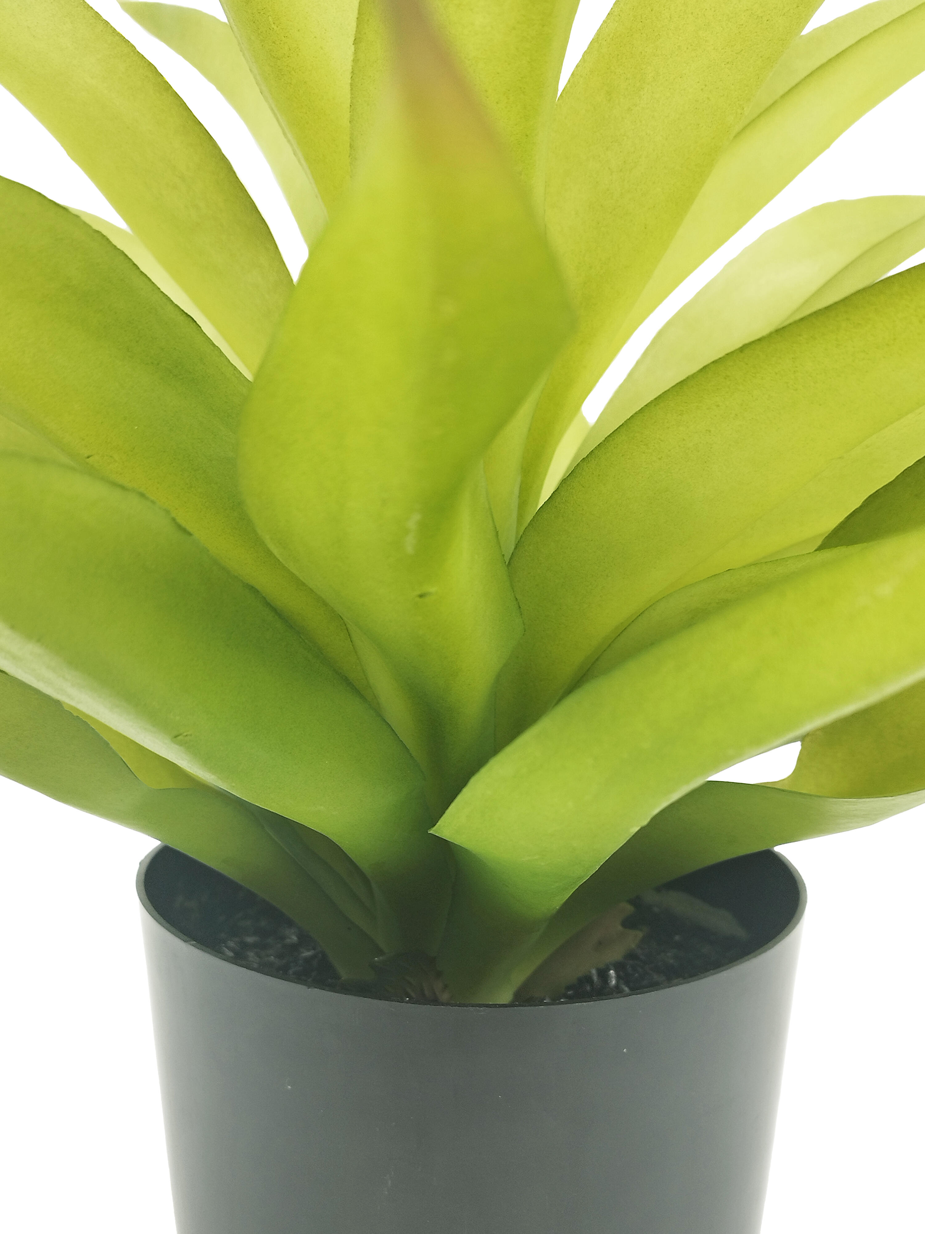 Planta artificial en maceta yuca de 58 cm de altura - 4