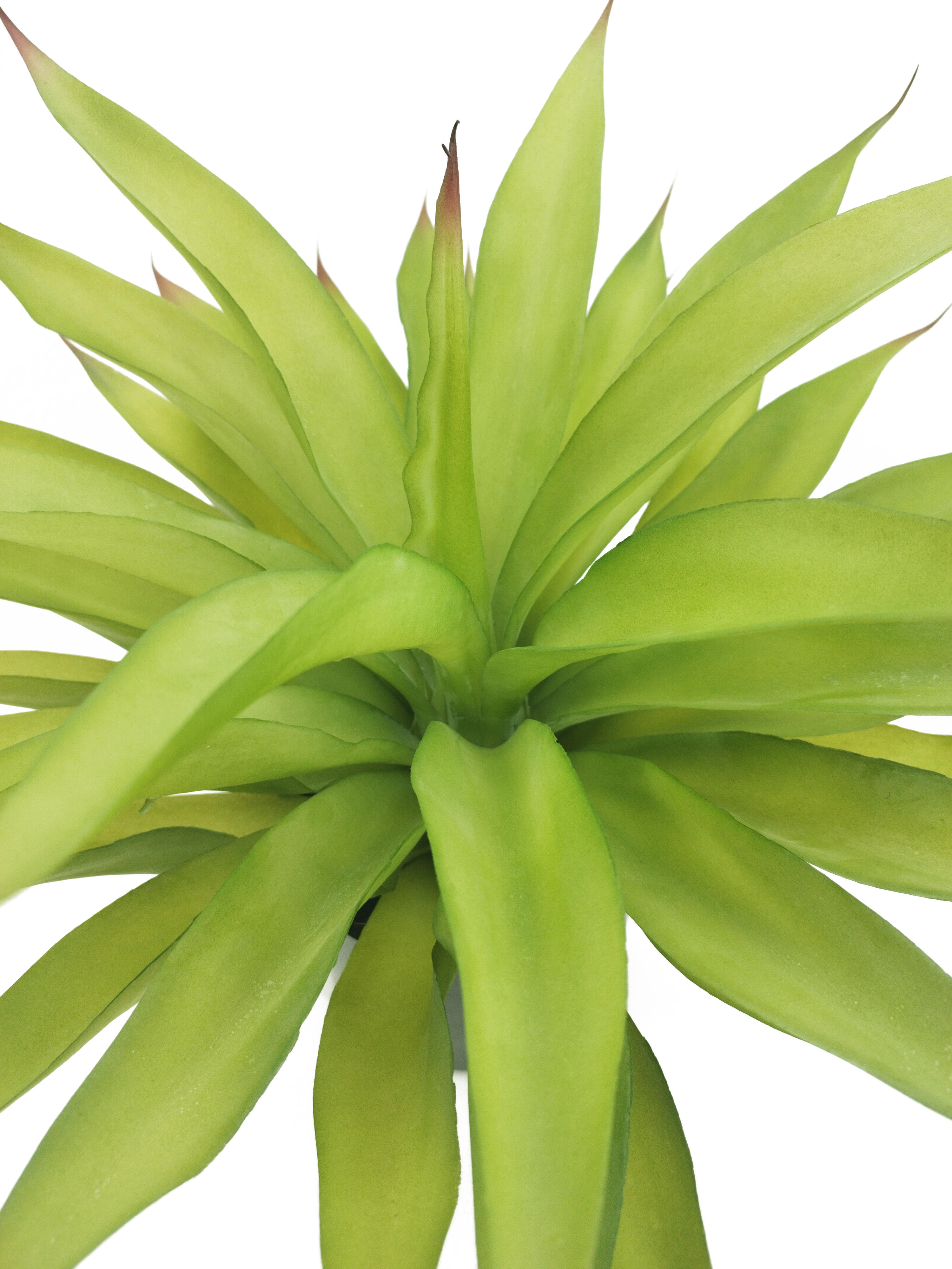Planta artificial en maceta yuca de 58 cm de altura - 3