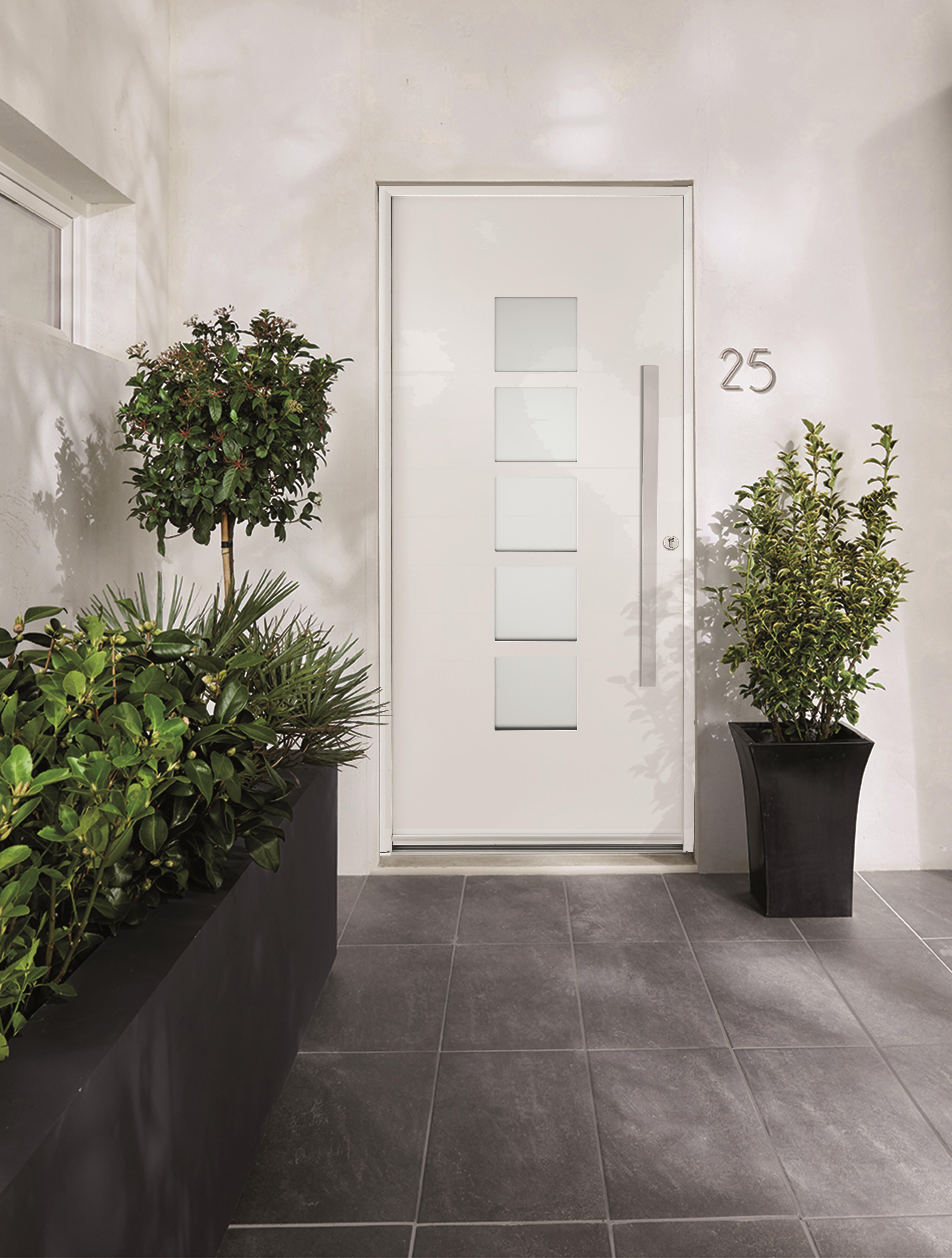 Porte d'entrée aluminium blanche poussant gauche H.215 x l.90 cm Fuji - 4
