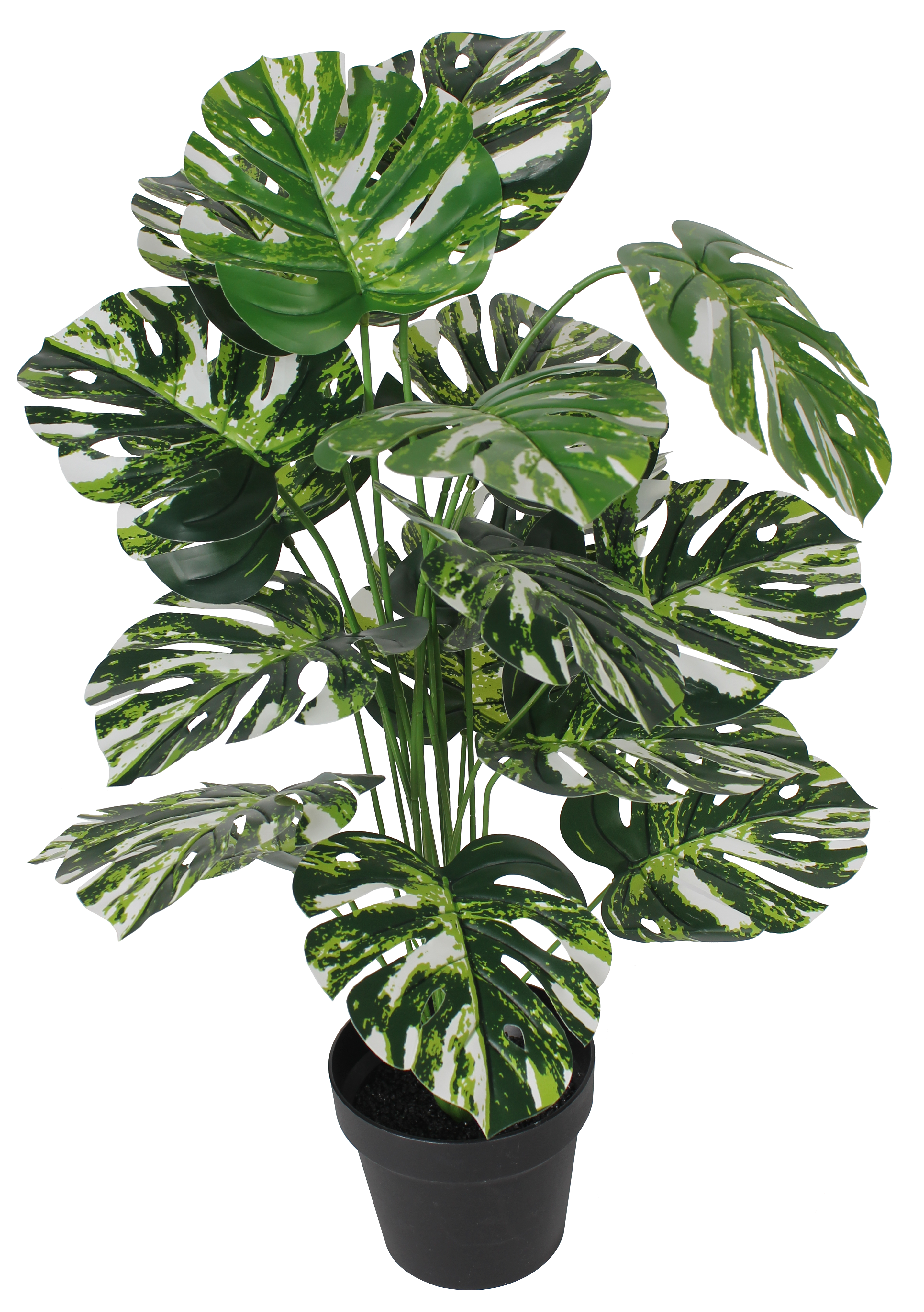 rhododendron pot Southgate Brandi Rhododendron main image 0