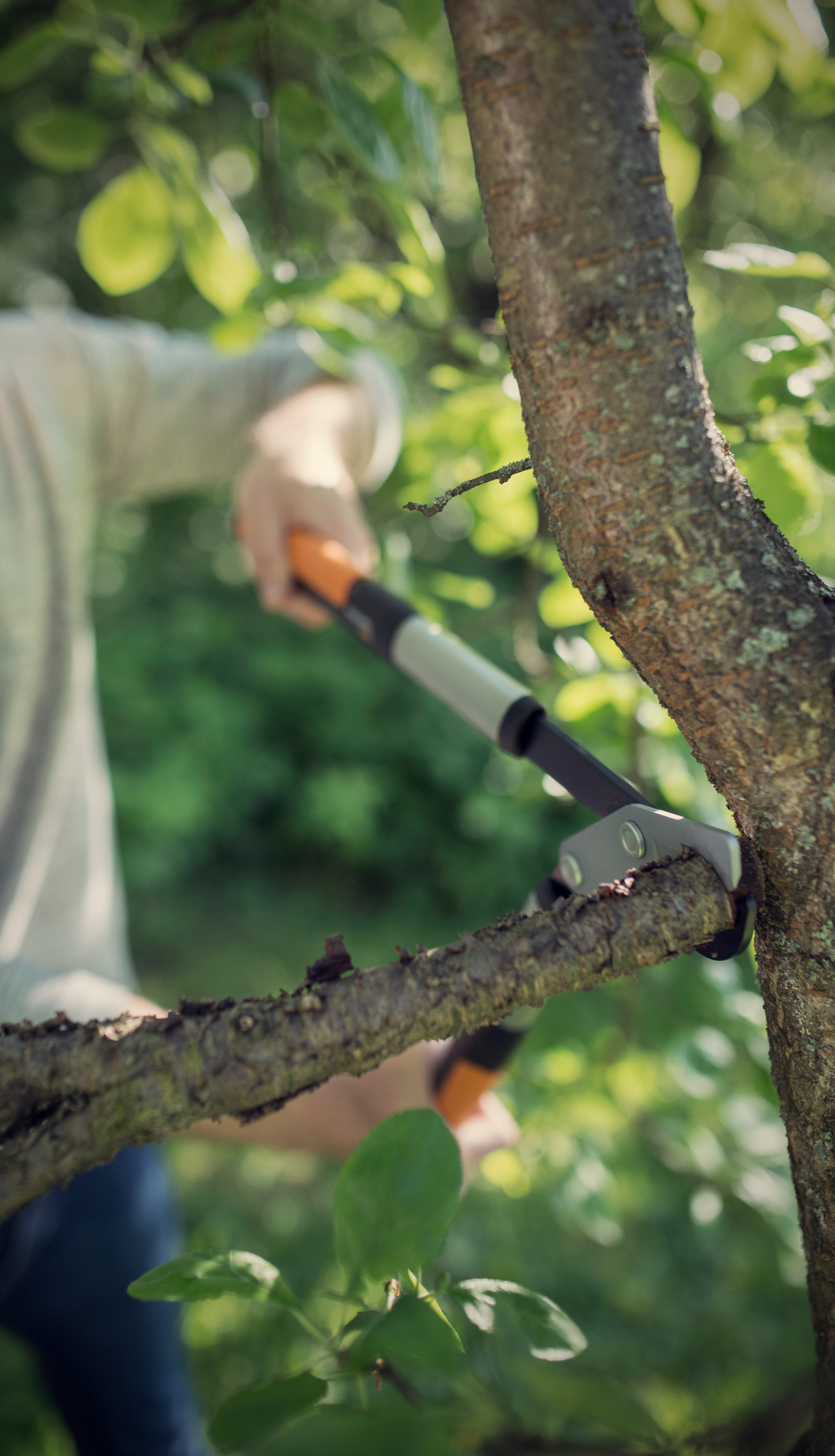 Sekator dźwigniowy nożycowy Fiskars LX94 PowergearX rozmiar M - 3