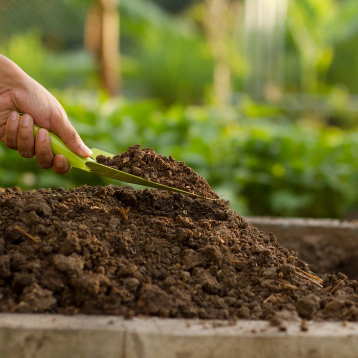 Żyzna ziemia do roślin
