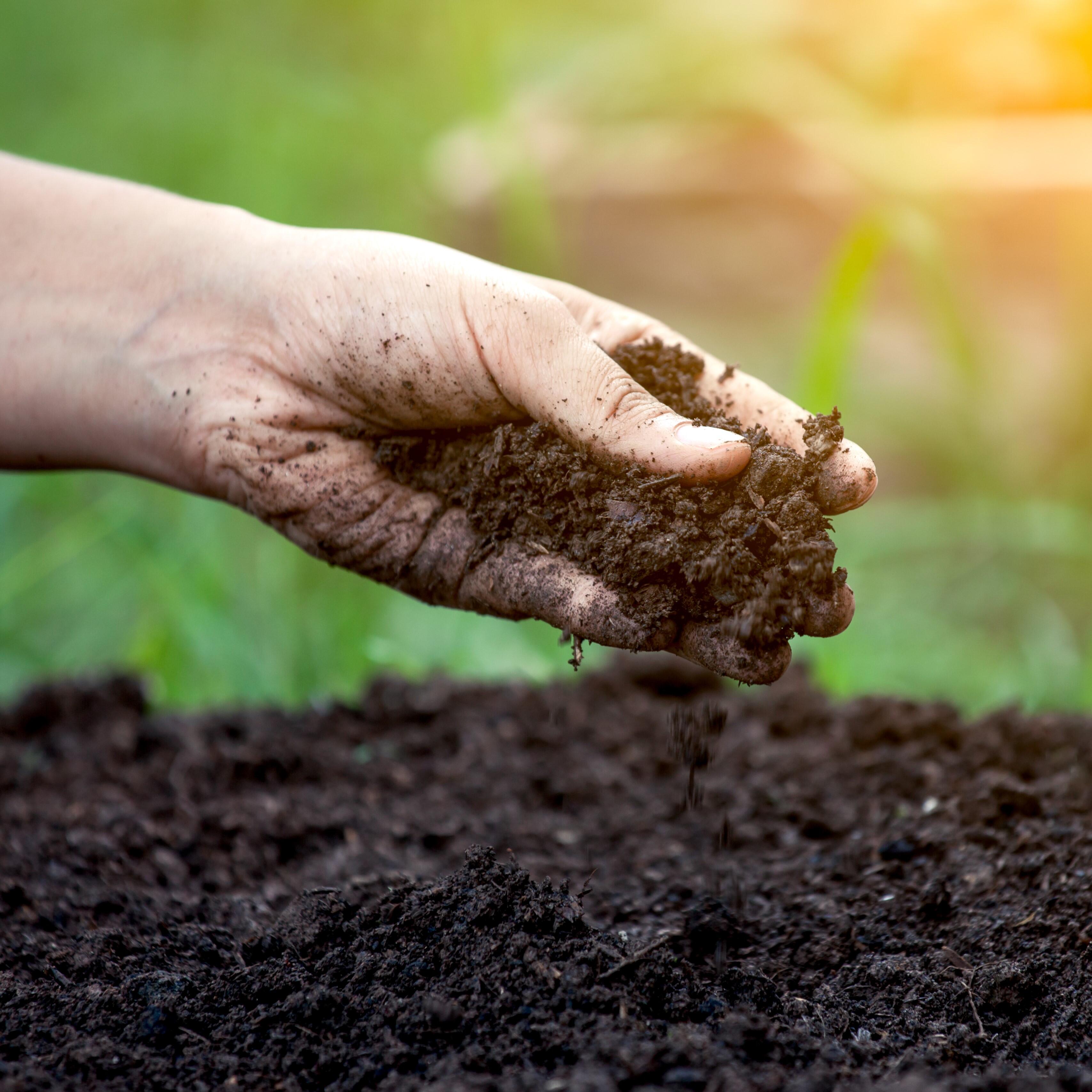 Ziemia do ogrodu - 2