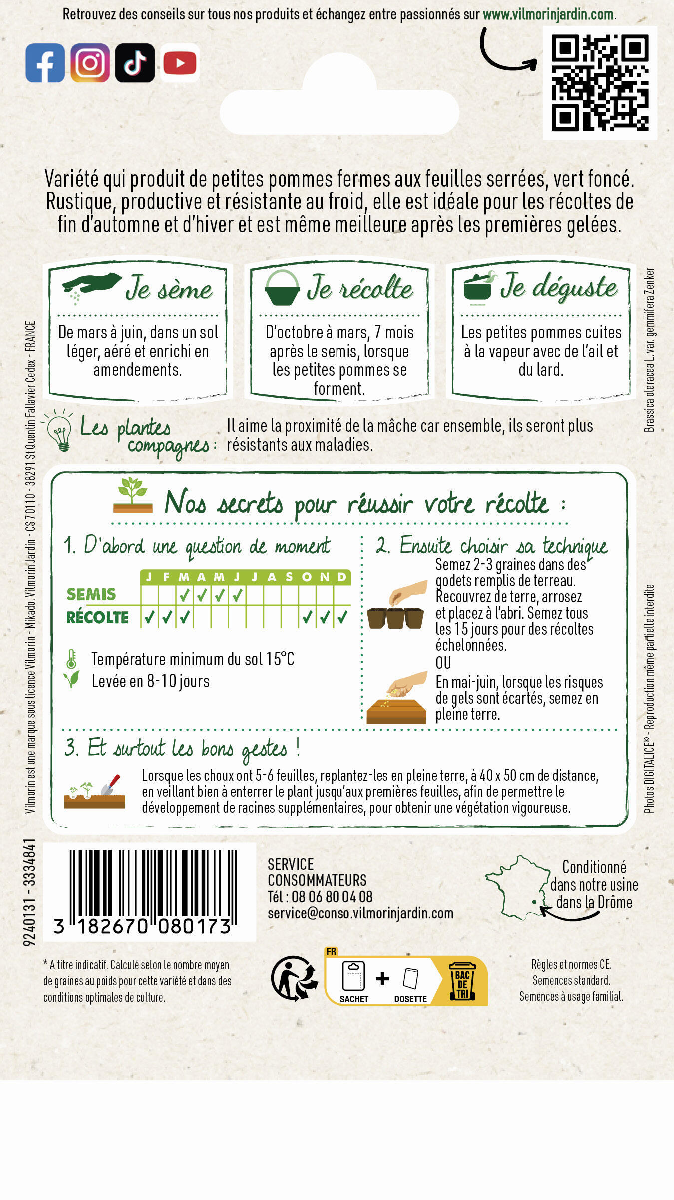 Choux de Bruxelles Roodnerf Vilmorin - sachet série 1 de 2 g - 2
