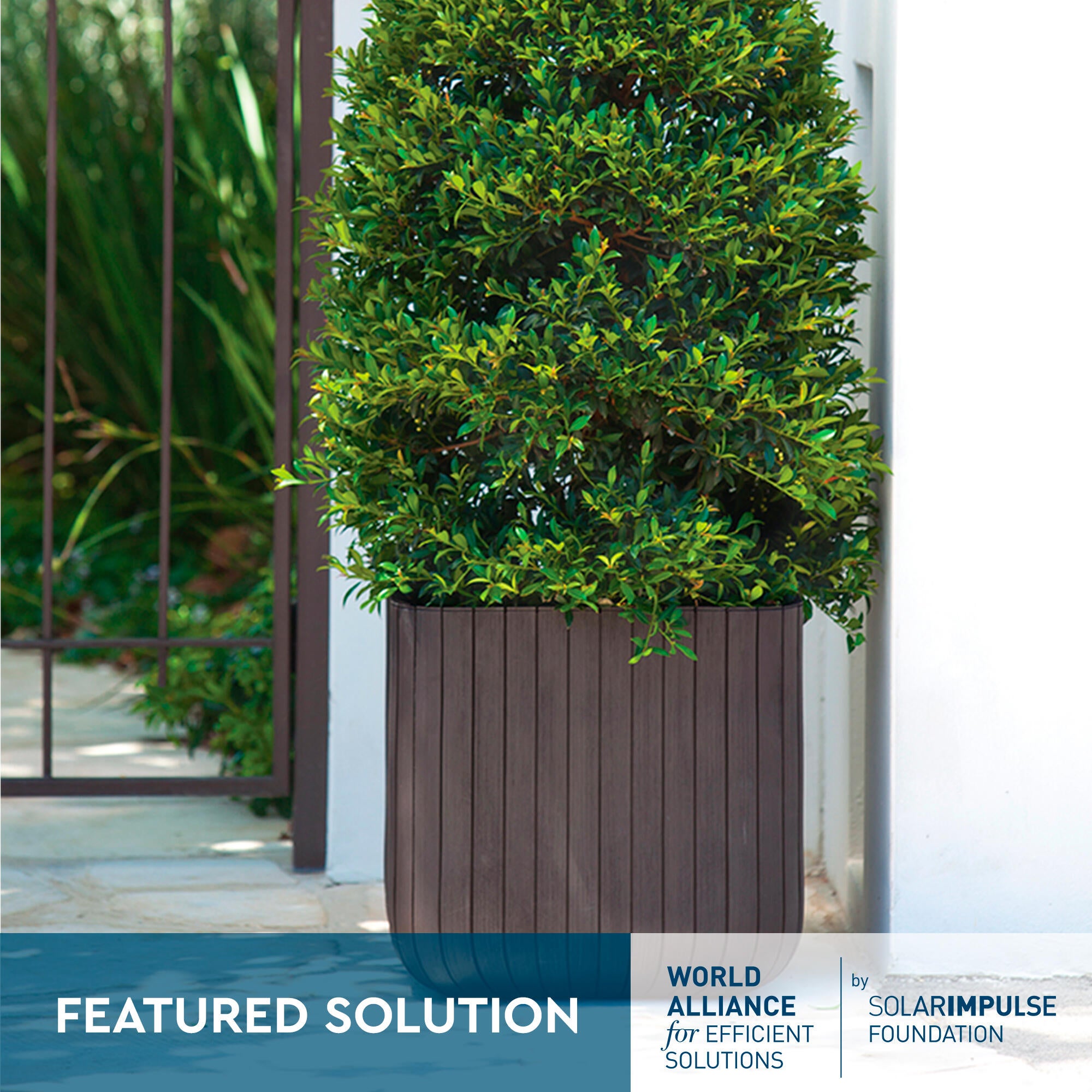 Maceta Cube S cuadrada de polialumino imitación madera marrón 29,5x29,5 cm - 2