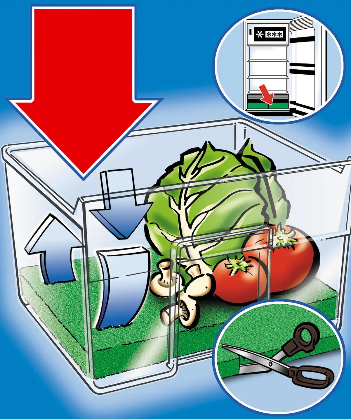 Protector de alimento fresco WENKO de poliuretano verde 29.5x46cm - 9