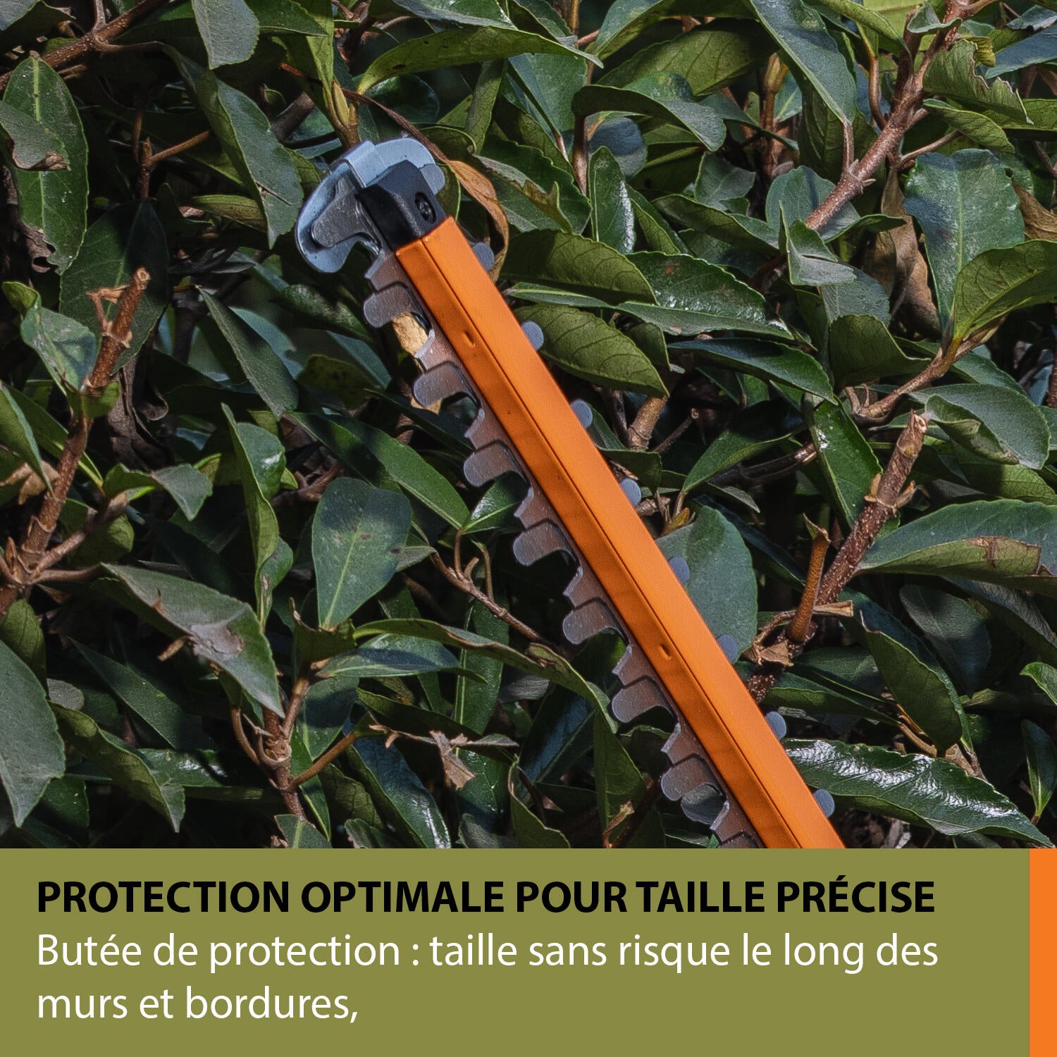 Taille-haie sur batterie 20V ESSENTIAL BY WORX EJ260E.9, sans batterie - 5