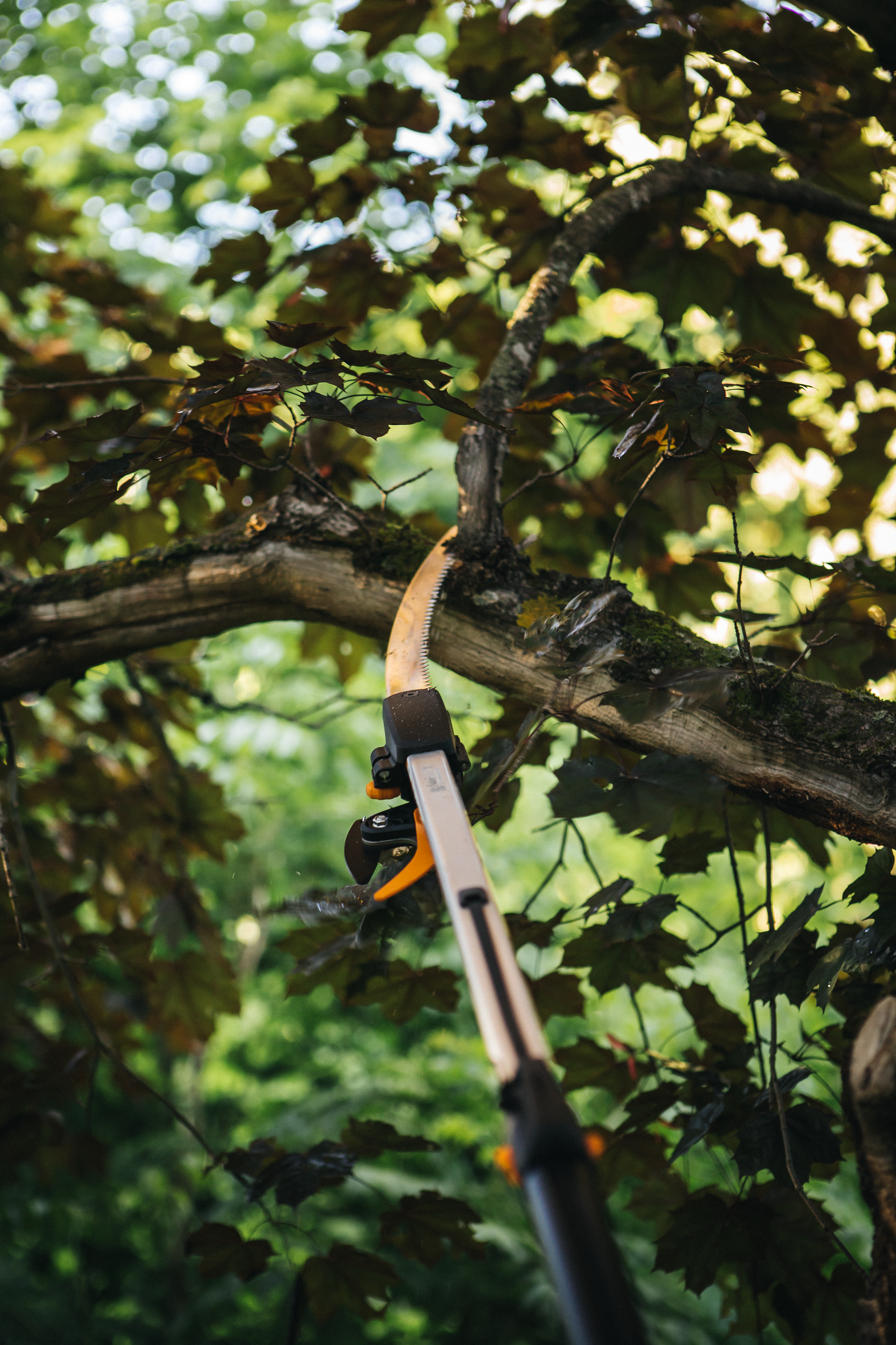 Piła do gałęzi Fiskars UPX82/86 47 cm - 3