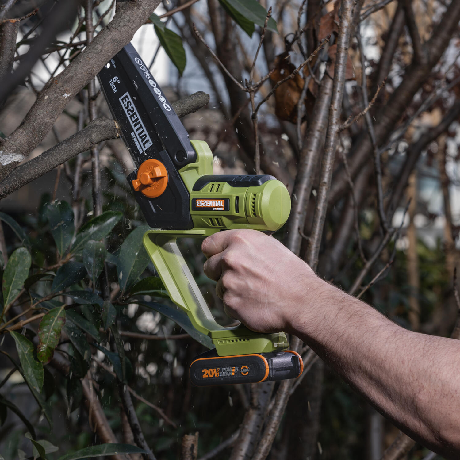 Une élagueuse sans fil puissante et polyvalente - 1