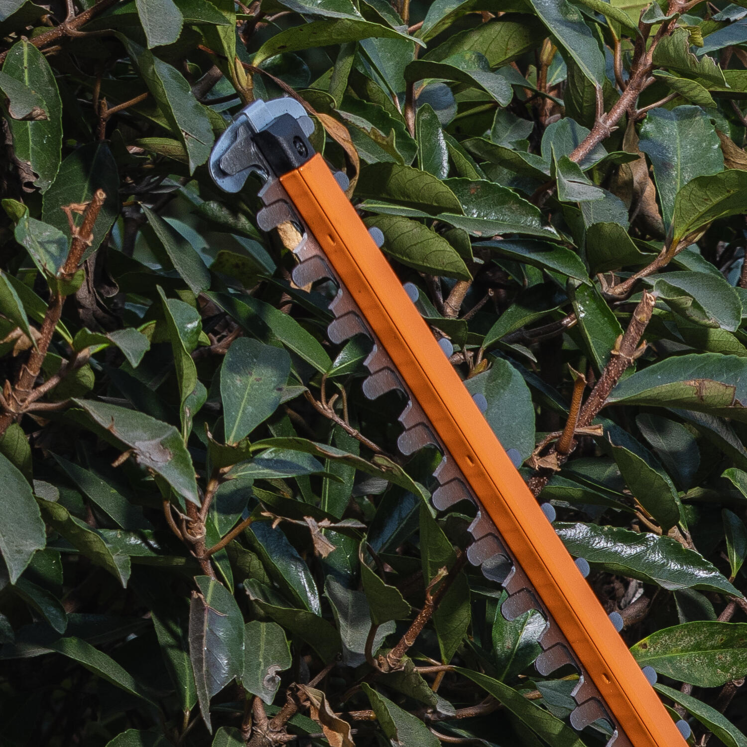 Une protection optimale pour une coupe sans risque - 4