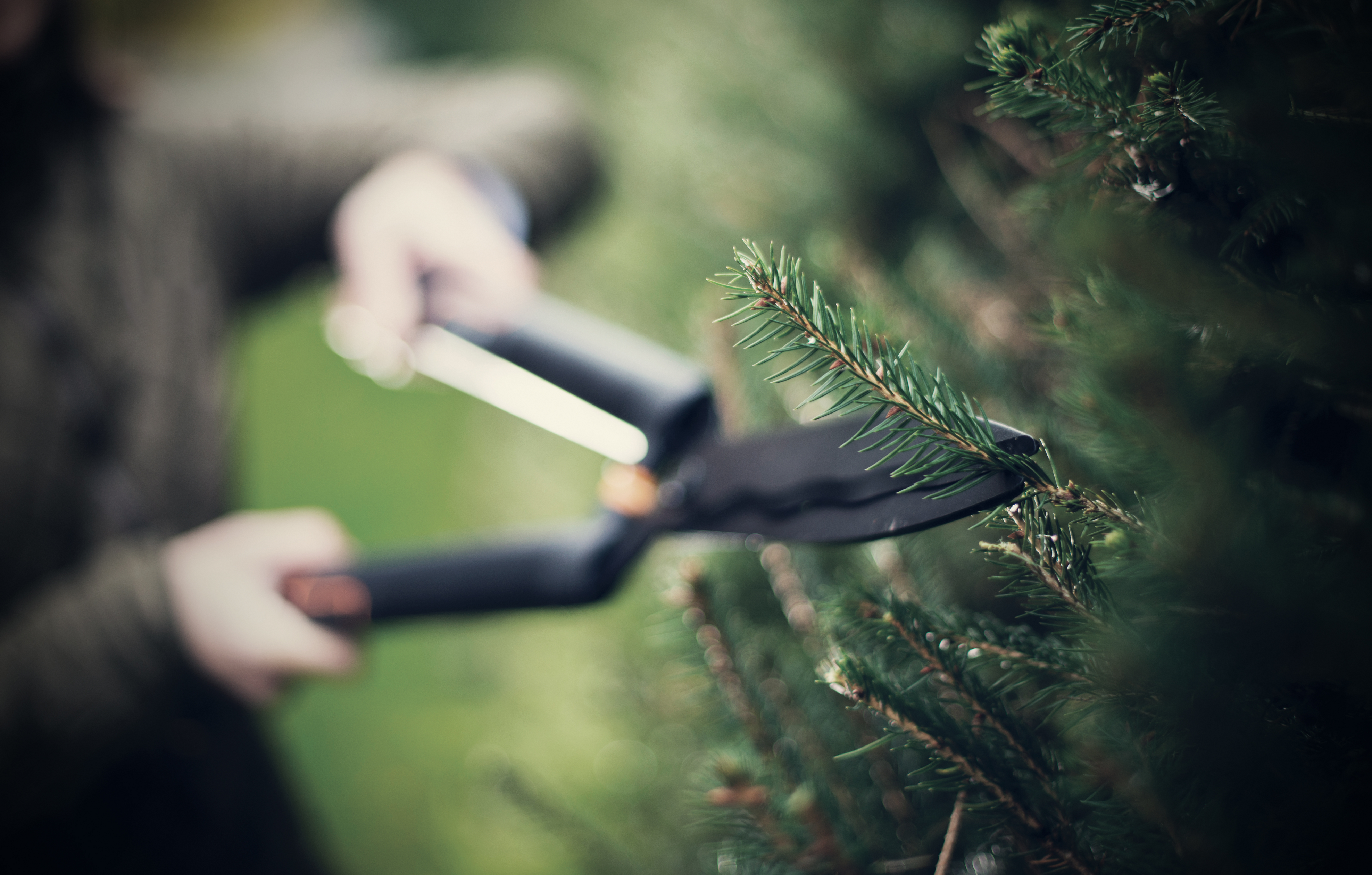 Nożyce do żywopłotu HS22 Fiskars - 4