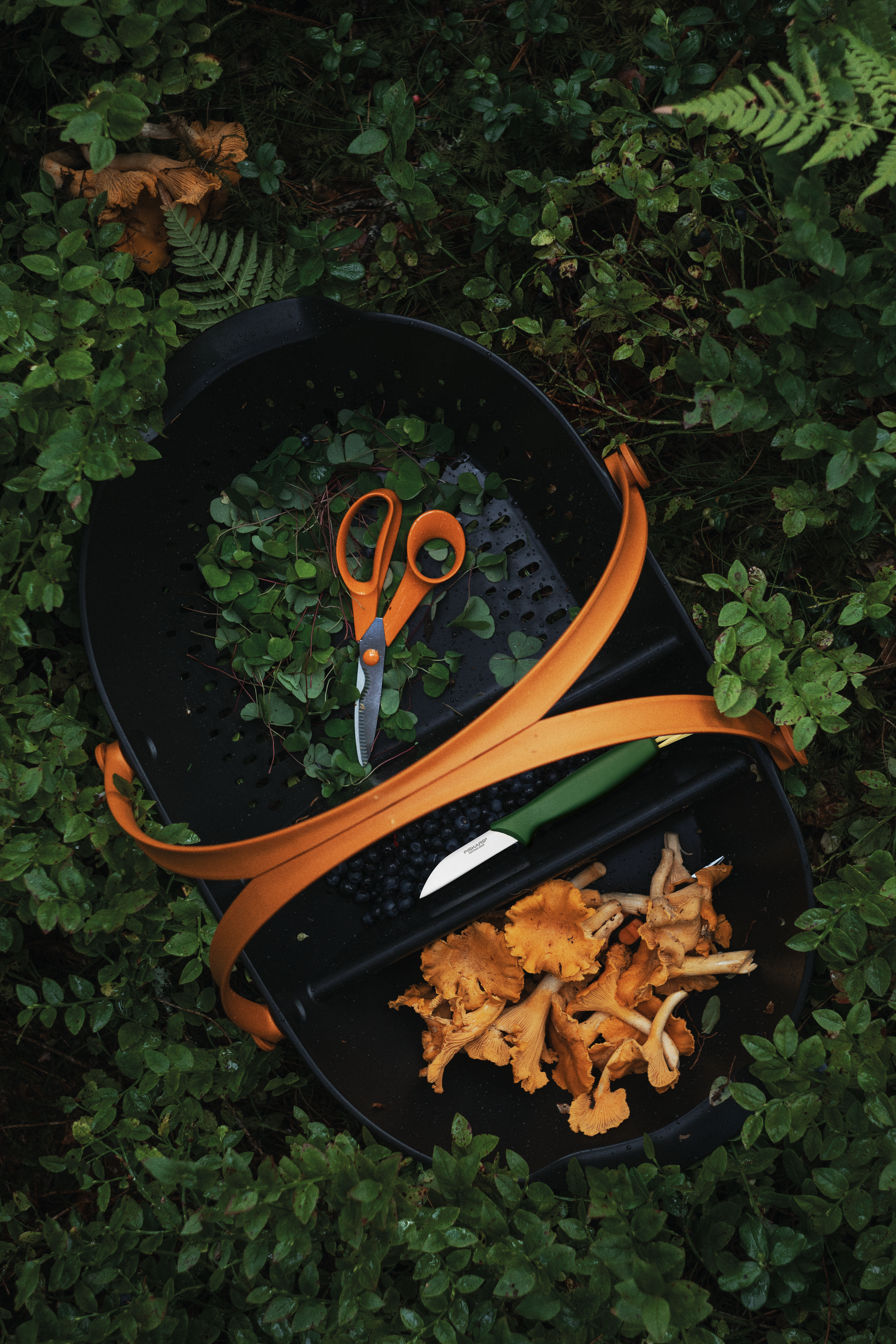 Nożyczki uniwersalne do kwiatów 18 cm Fiskars - 5