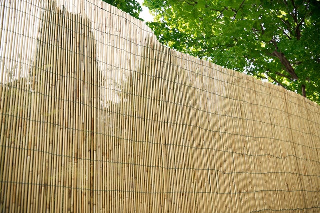 Arella bambù 4F GROUP CANNICCIO ARELLA 100X300 CM  L 3 x H 1 m