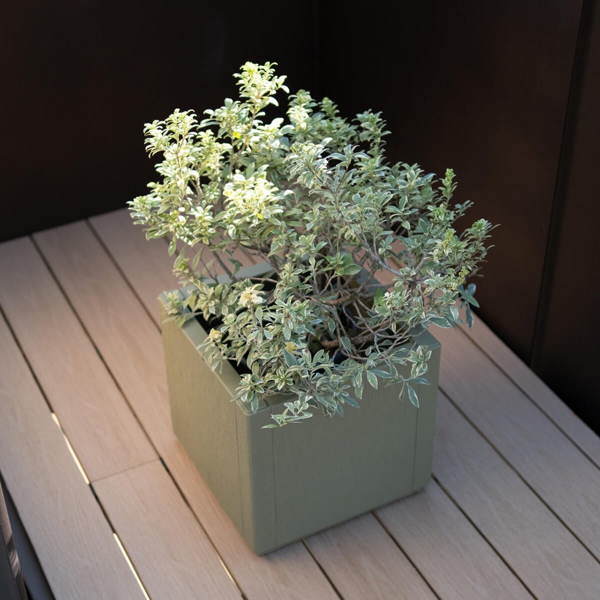 Fioriera Ethica STEFANPLAST in polipropilene verde oliva H 35 x L 36 cm - 2