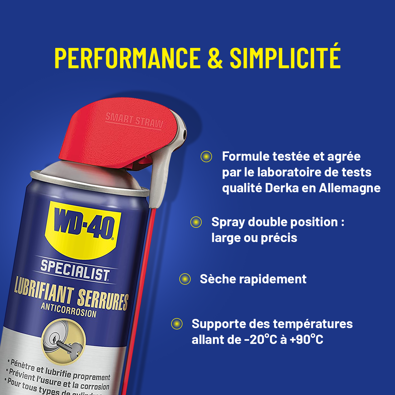Lubrifiant pour serrure WD-40 en aérosol 250 - 2