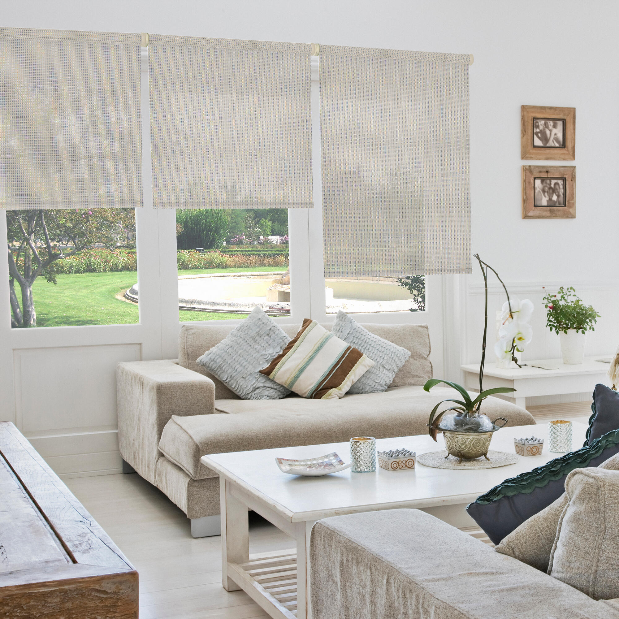 Estor enrollable screen con cadena screen royal poliéster royal negro de 165x250cm