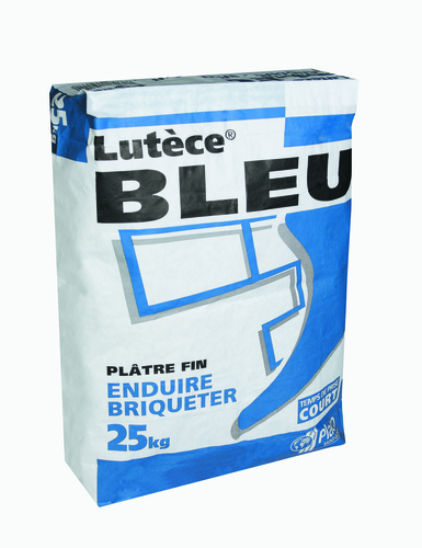 Plâtre en Poudre 25 kg - Lutece bleu PLACO - 2