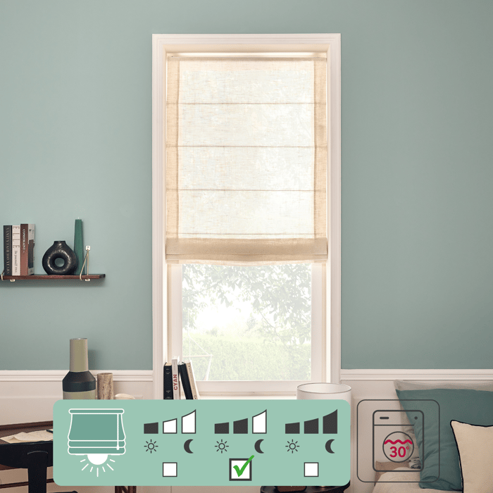 Tienda de barcos de proyección Charlina