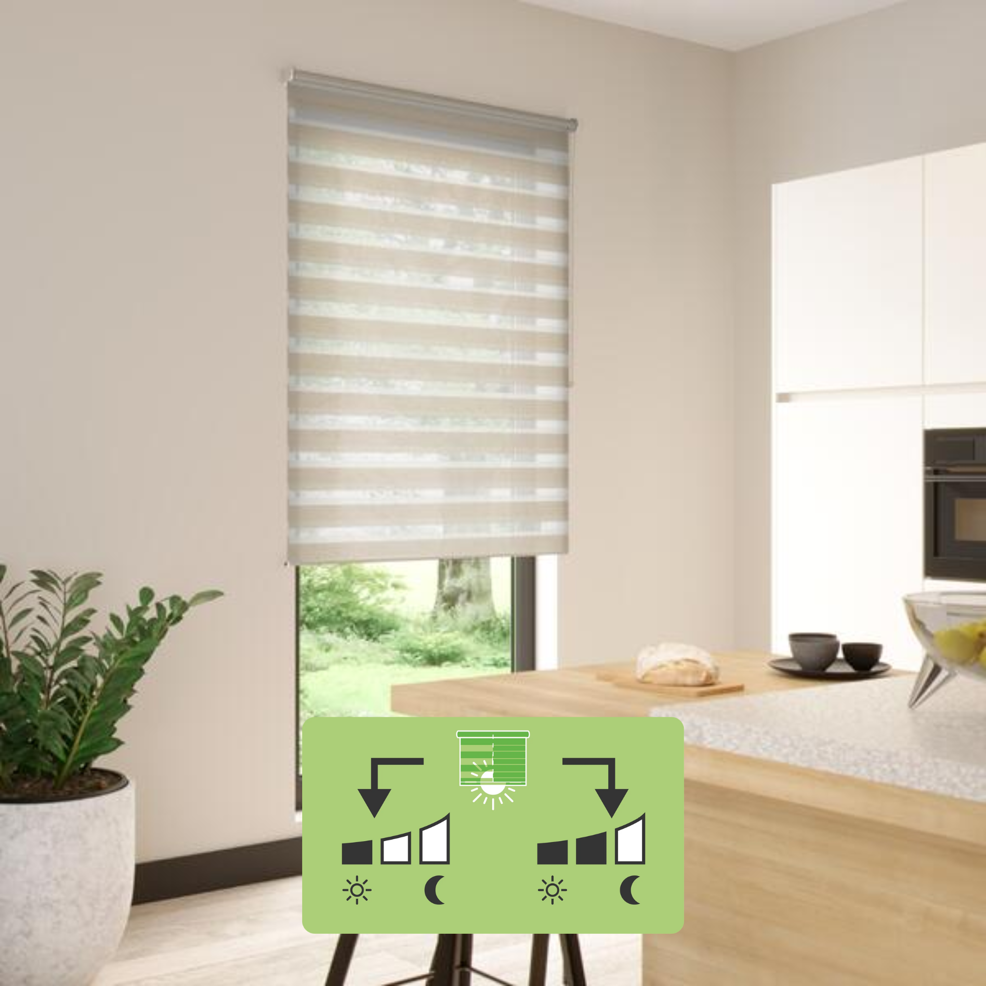 bolero paper.png - 2