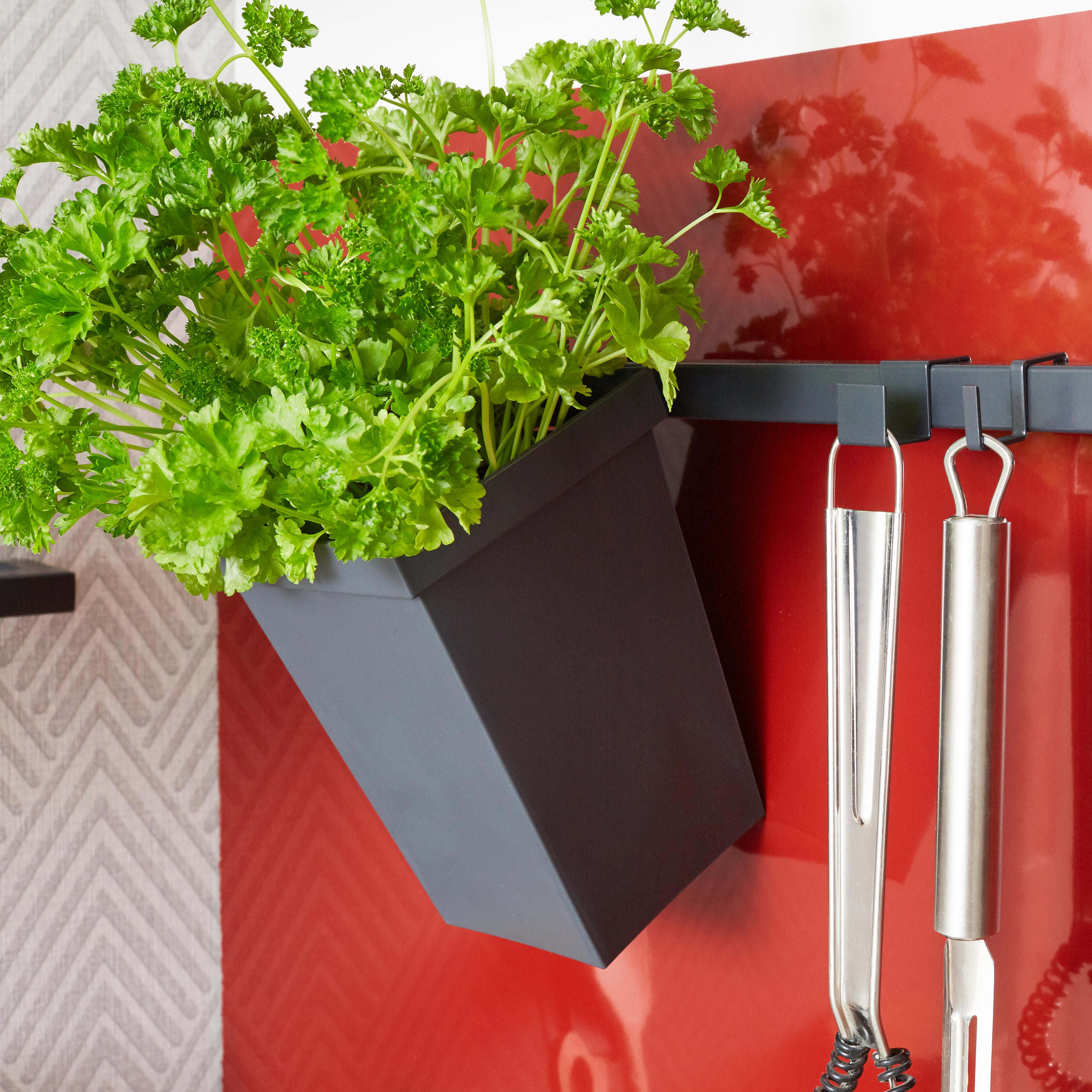 Organiseur pour barre de crédence 10 x 10 x 14,7 cm gris DELINIA ID - 5