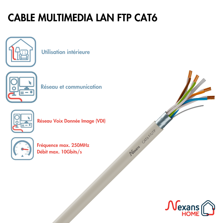 Câble Ethernet RJ45 CAT6 bleu, L.25 m - 2