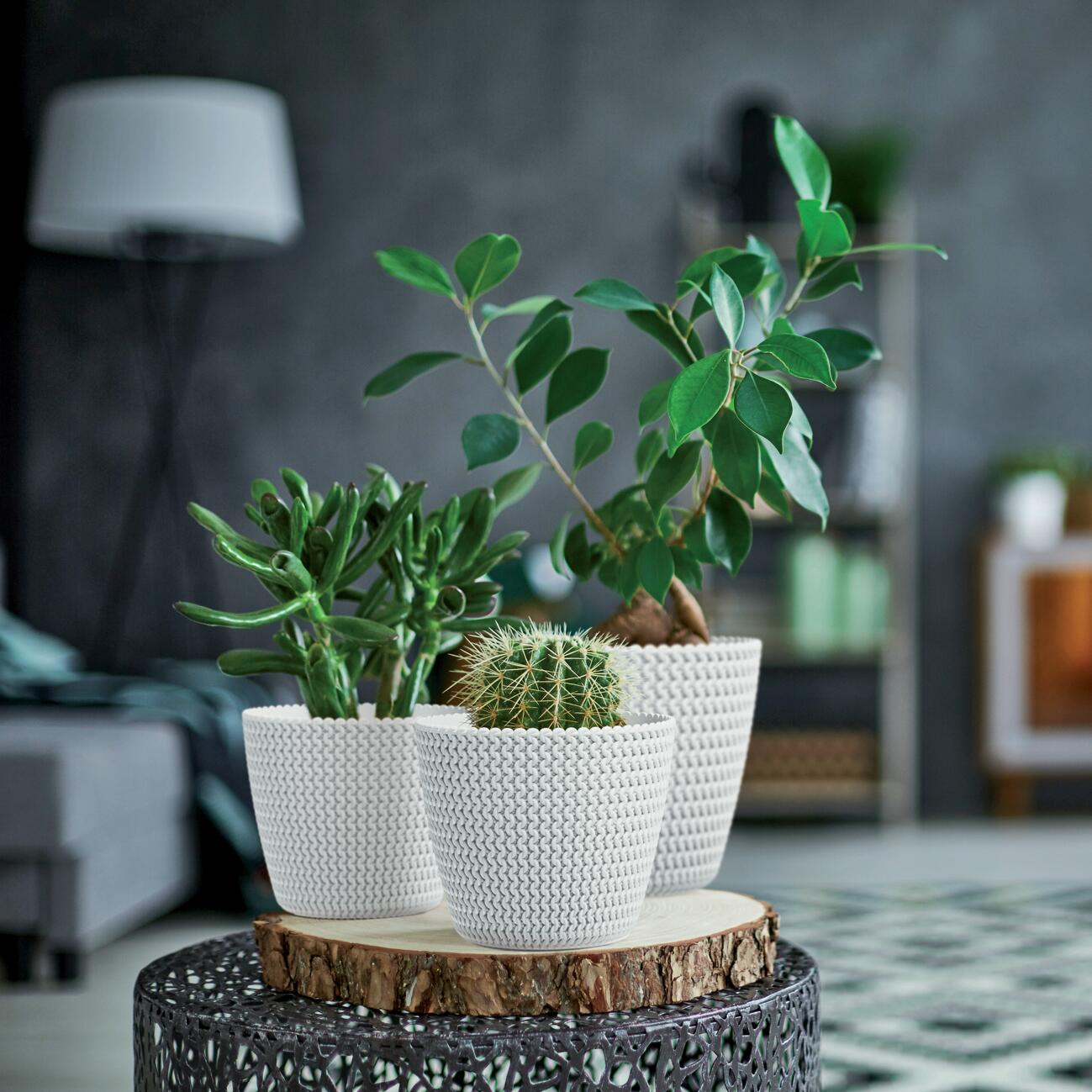 Vaso Splofy PROSPERPLAST in polipropilene bianco H 18.4 x ø 21.8 cm - 3