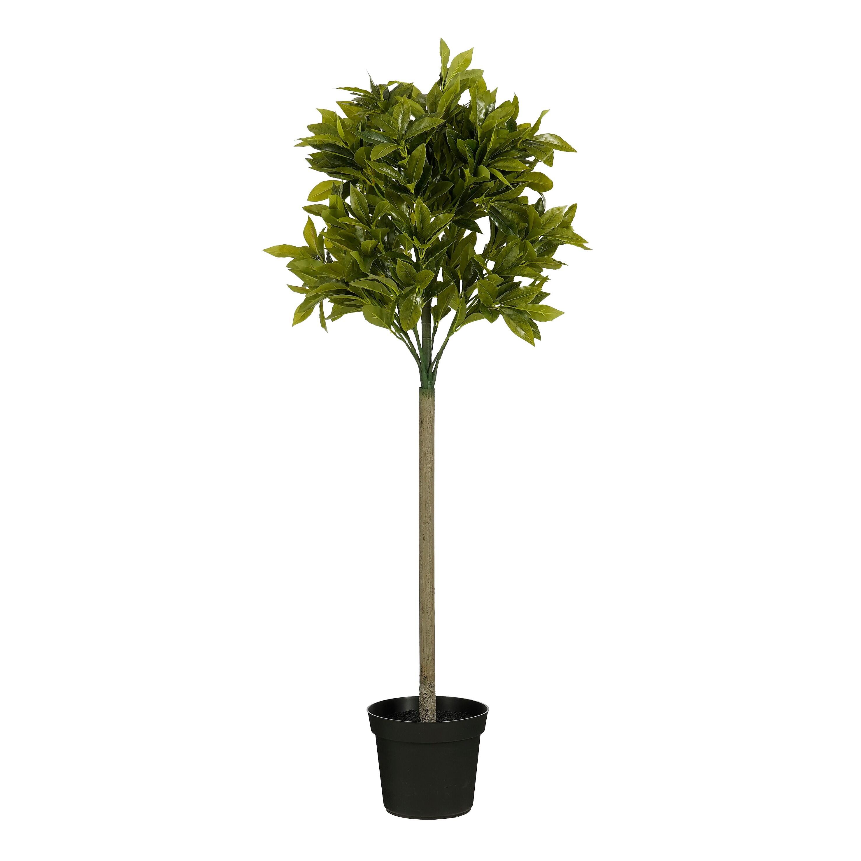 Planta artificial laurel 120 cm | Leroy Merlin