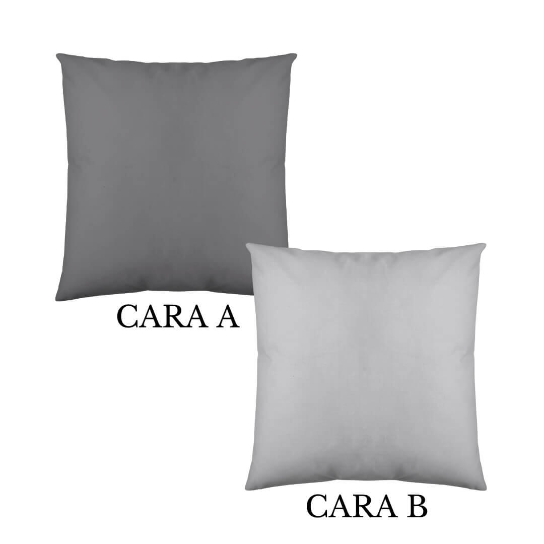 Gris / plata