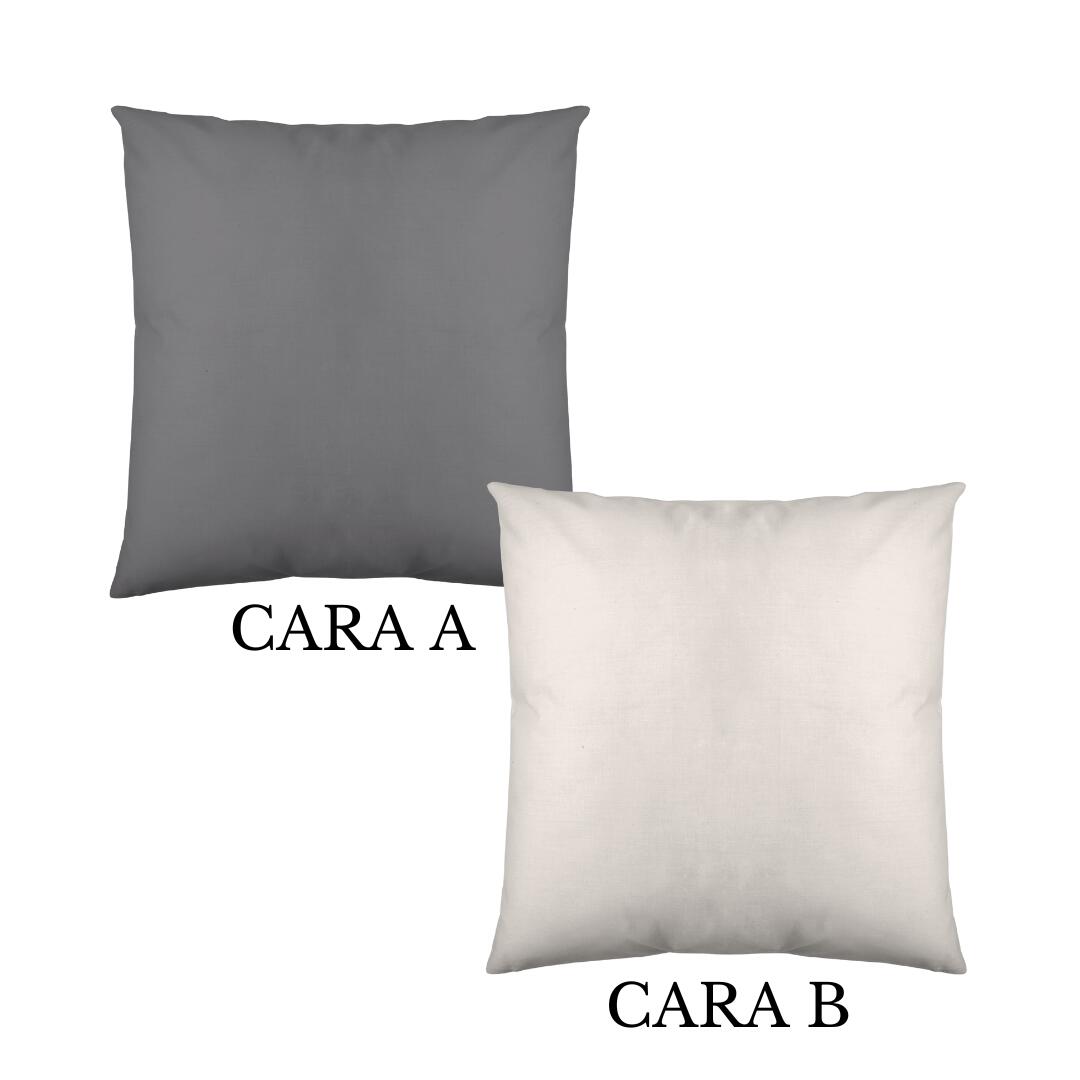Gris / plata