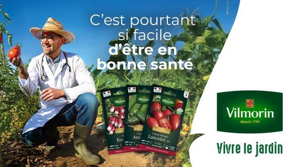 Graines d'exception : cultivez un potager en pleine santé !