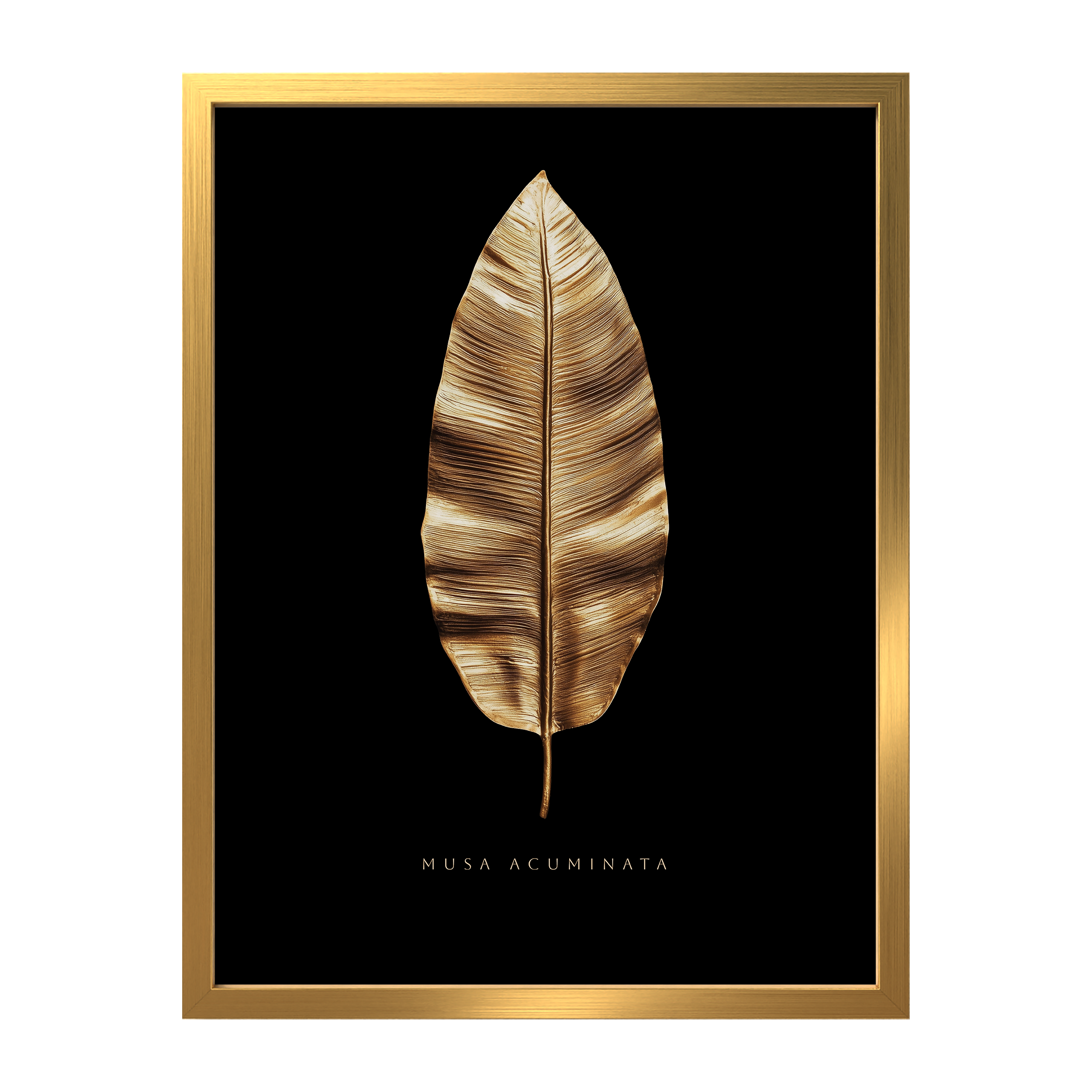 Obraz Gold Banana czarno-złoty 30 x 40 cm