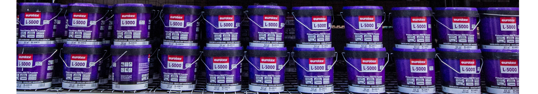 BASE PINTURA PLÁSTICA MATE L3000 12L TONOS INTENSOS - 2