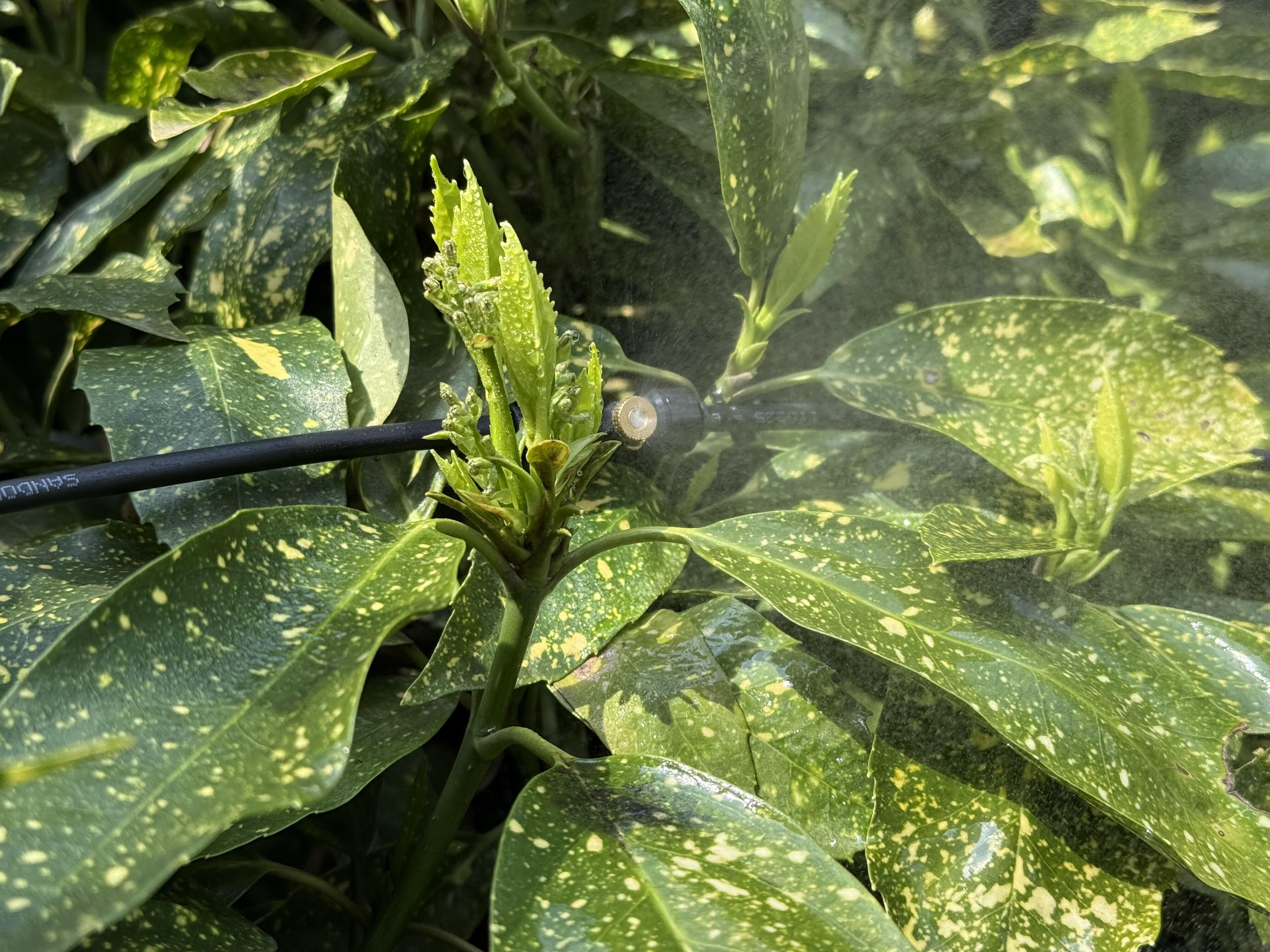 Atomizzatore a batteria SANDOKAN Automizer 20 L, batteria inclusa - 8