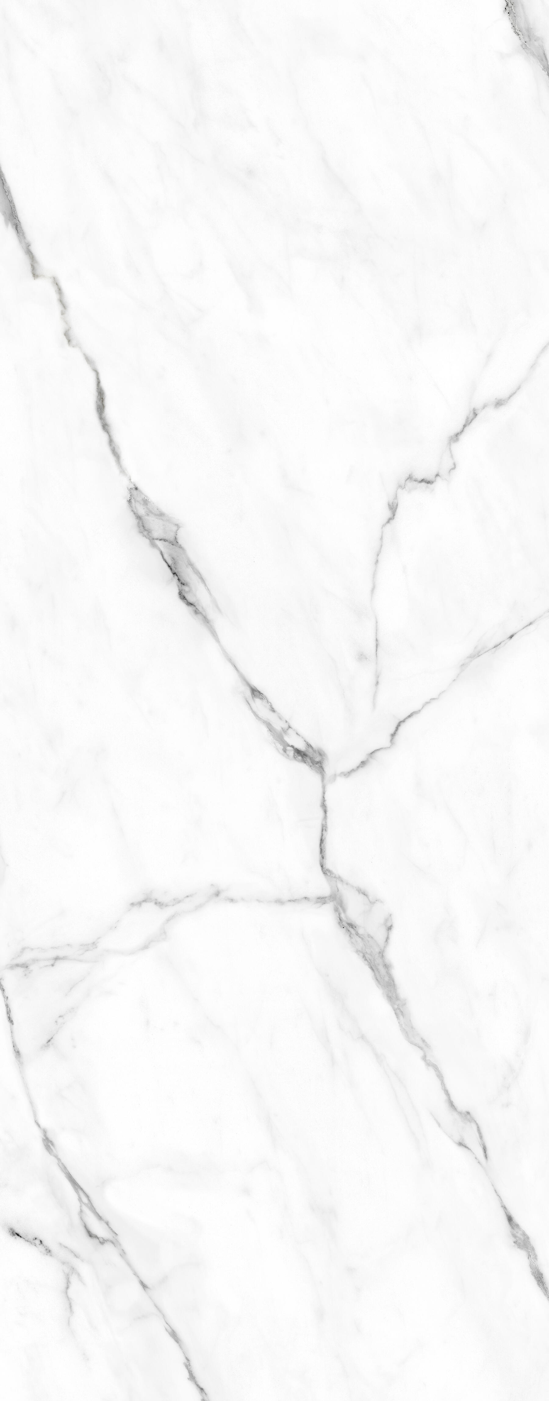 Panneau mural H.255 x l.150 cm marbre carrare blanc brillant, Décomotion, BREUER - 4
