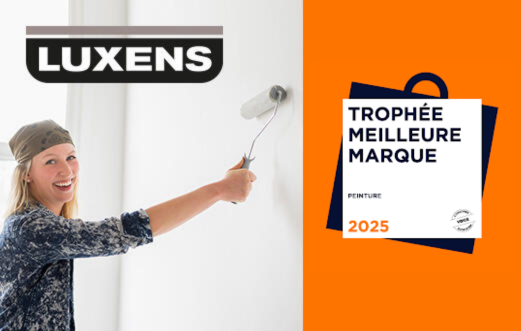 Peinture mur, plafond, boiserie blanc velours LUXENS Couvrant 10L - 9