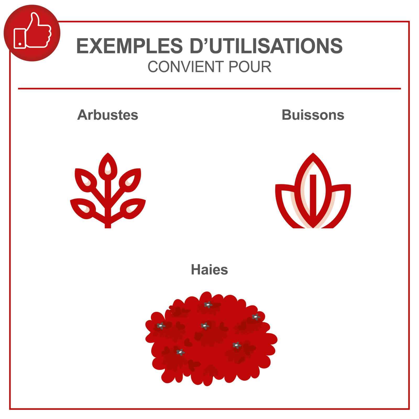 Taille-haie à essence SCHEPPACH 5910402915, 22.5 cm³ L.60 cm - 5