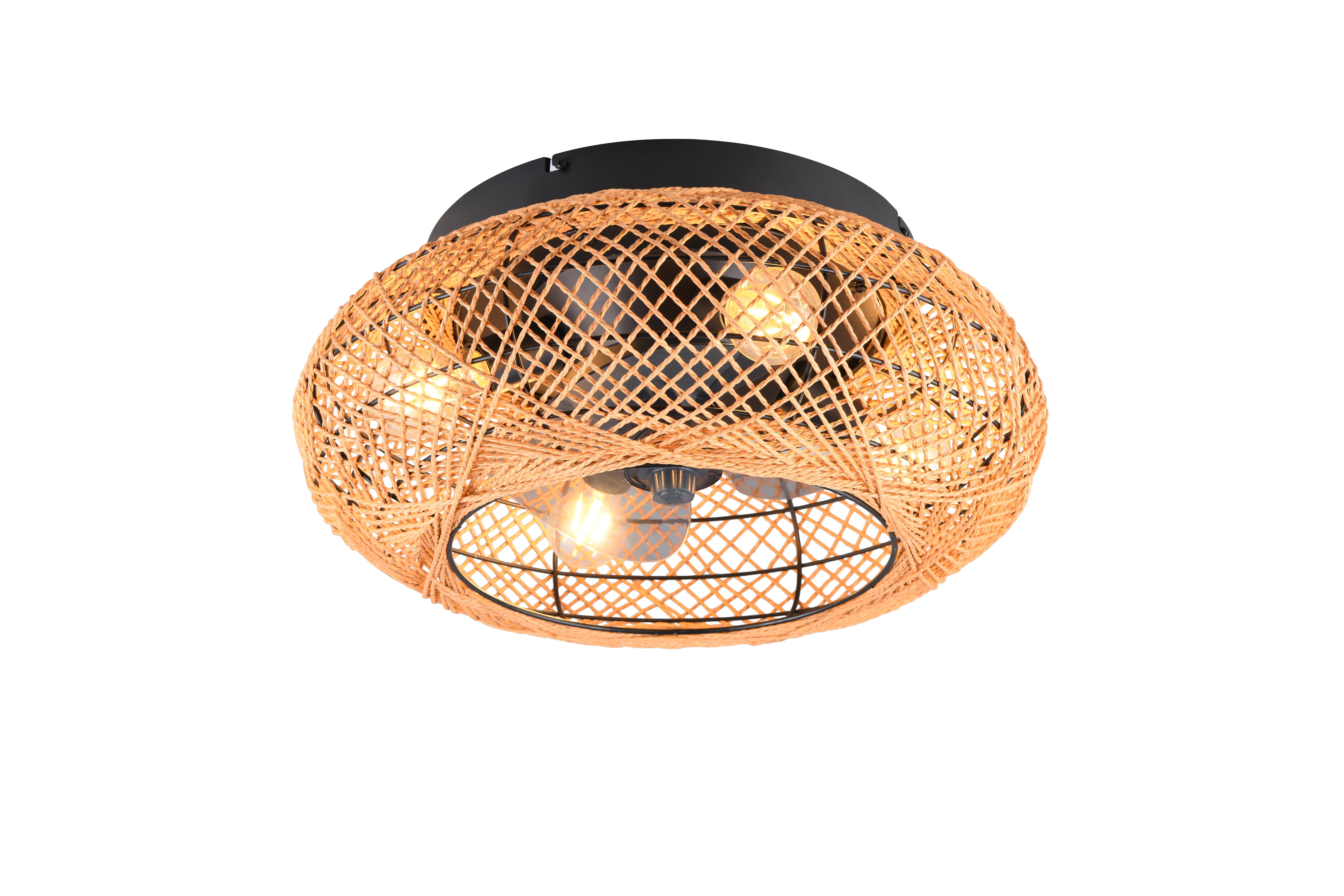 Ventoinha de teto com lâmpada D50 cm castanho 470 Lm Bidar Trio Lighting
 - 13