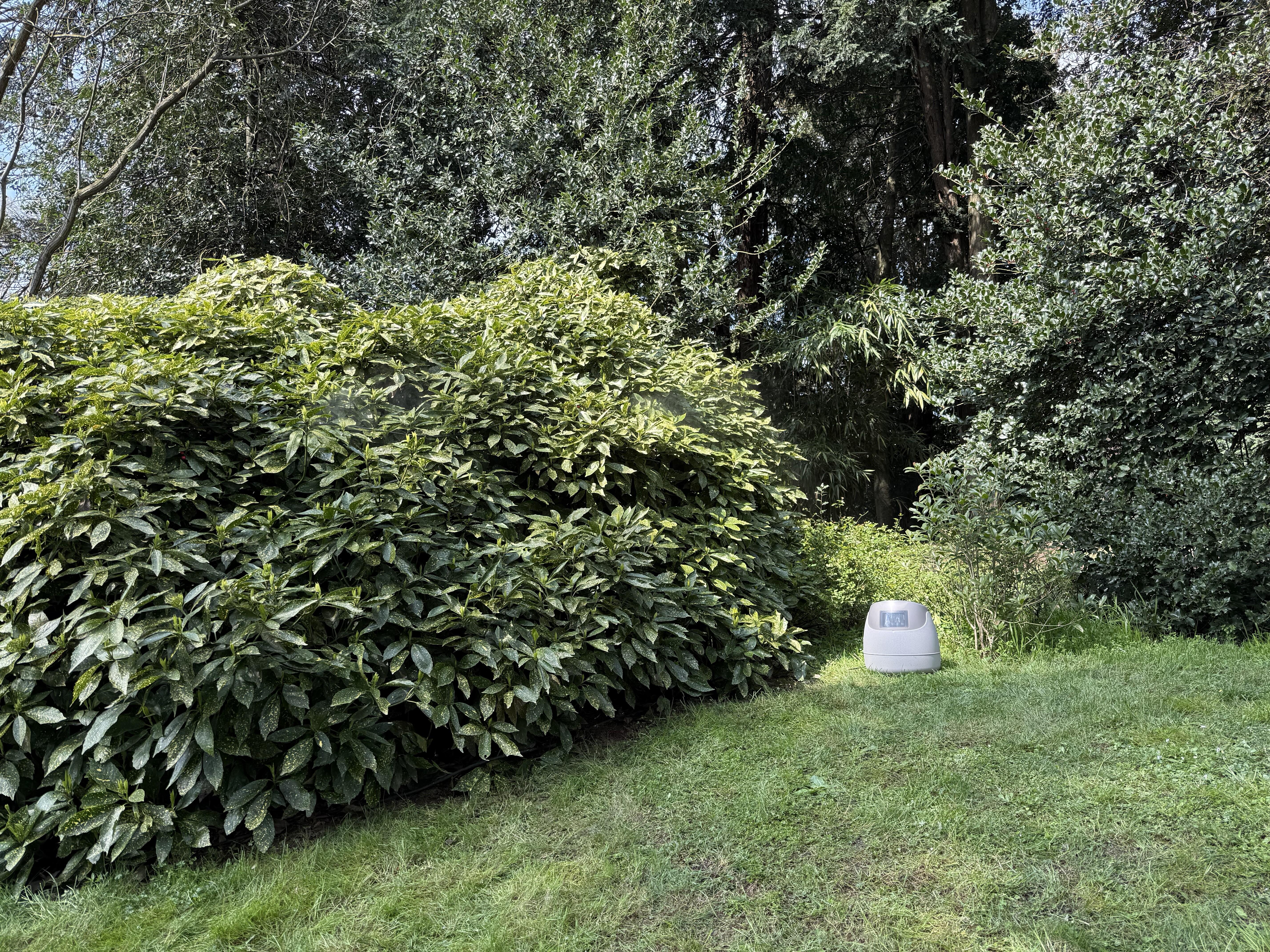 Atomizzatore a batteria SANDOKAN Automizer 20 L, batteria inclusa - 7