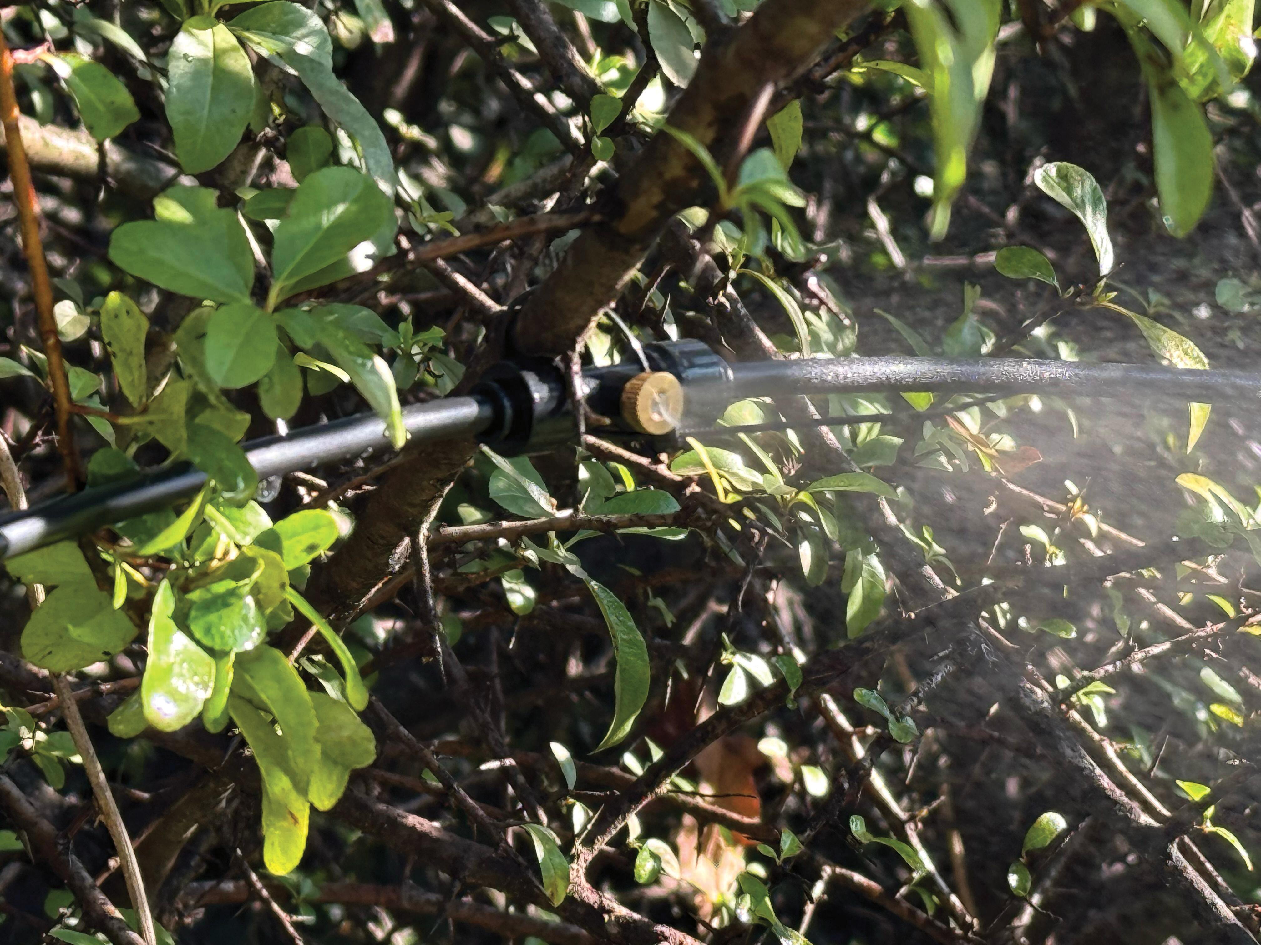 Atomizzatore a batteria SANDOKAN Automizer 20 L, batteria inclusa - 3