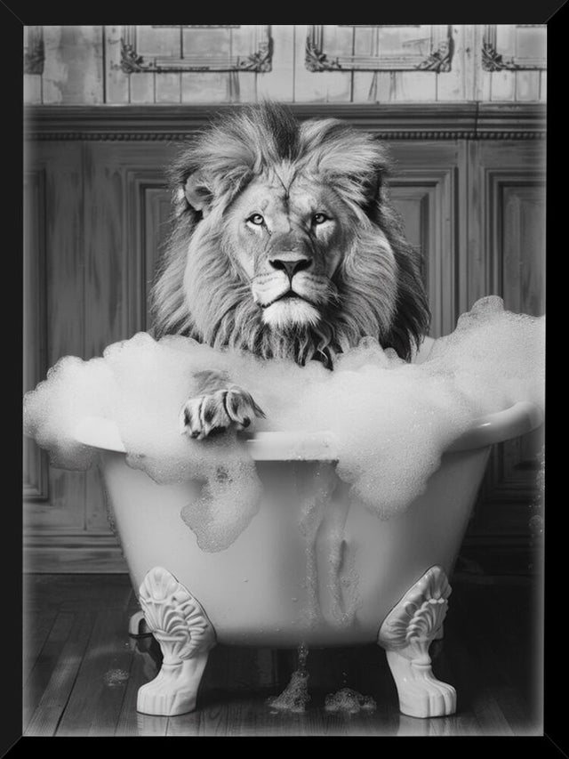 Stampa incorniciata STAMPA INC NE 30X40 LEONE BAGNO nero 31 x 41 cm