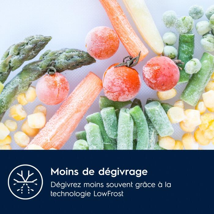 Réfrigérateur Electrolux anti givre