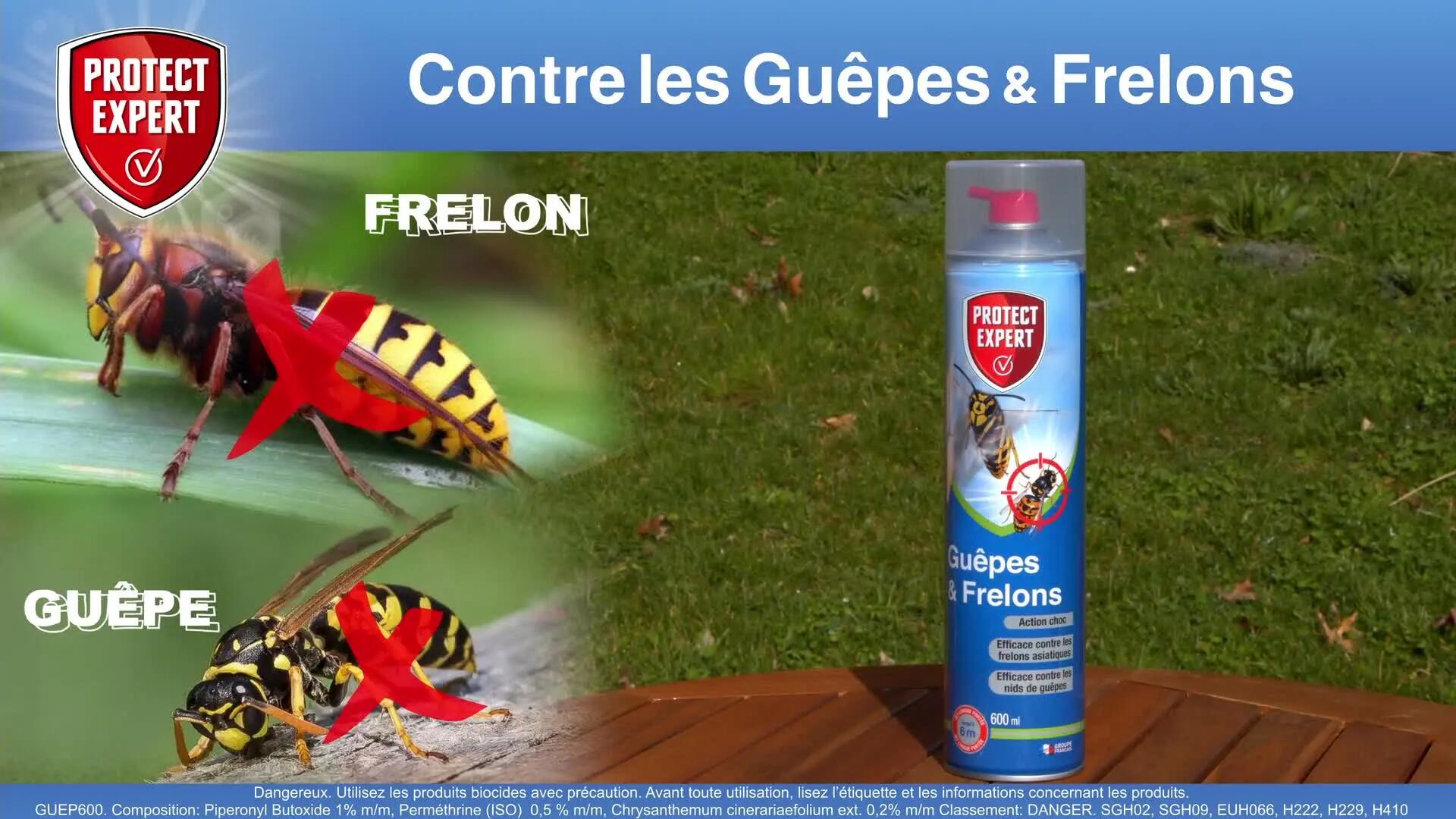 Aérosol insecticide aérosol guêpes et frelons, Guep600n PROTECT EXPERT, 0,6 l - 9