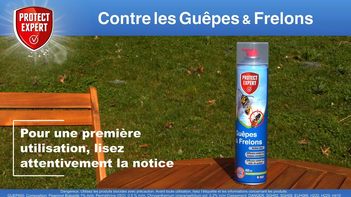 Aérosol insecticide aérosol guêpes et frelons, Guep600n PROTECT EXPERT, 0,6 l - 2