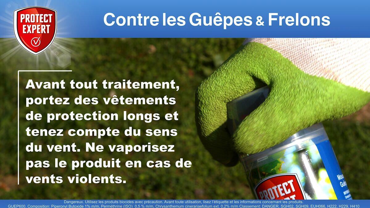 Aérosol insecticide aérosol guêpes et frelons, Guep600n PROTECT EXPERT, 0,6 l - 3