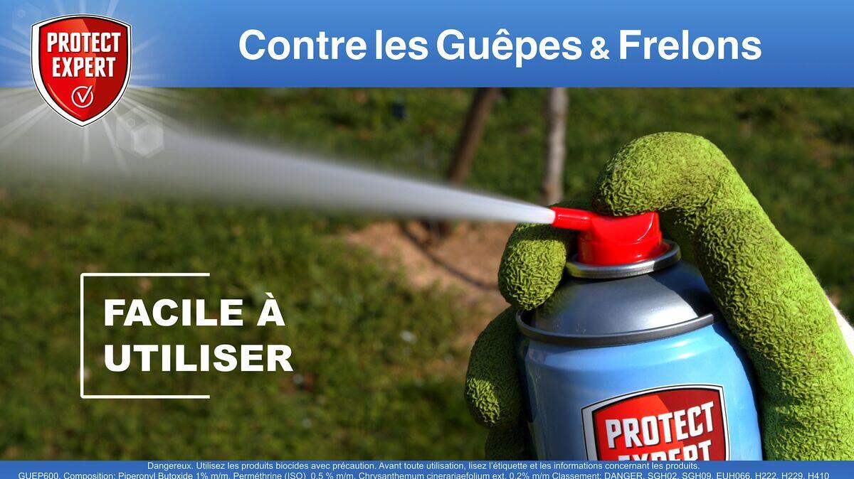 Aérosol insecticide aérosol guêpes et frelons, Guep600n PROTECT EXPERT, 0,6 l - 4